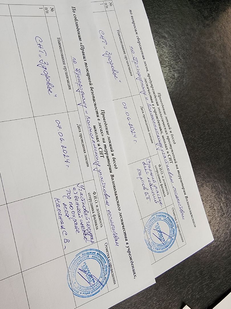 волоколамск, природа, лес, пожары, охрана, профилактика, пожарная безопасность,