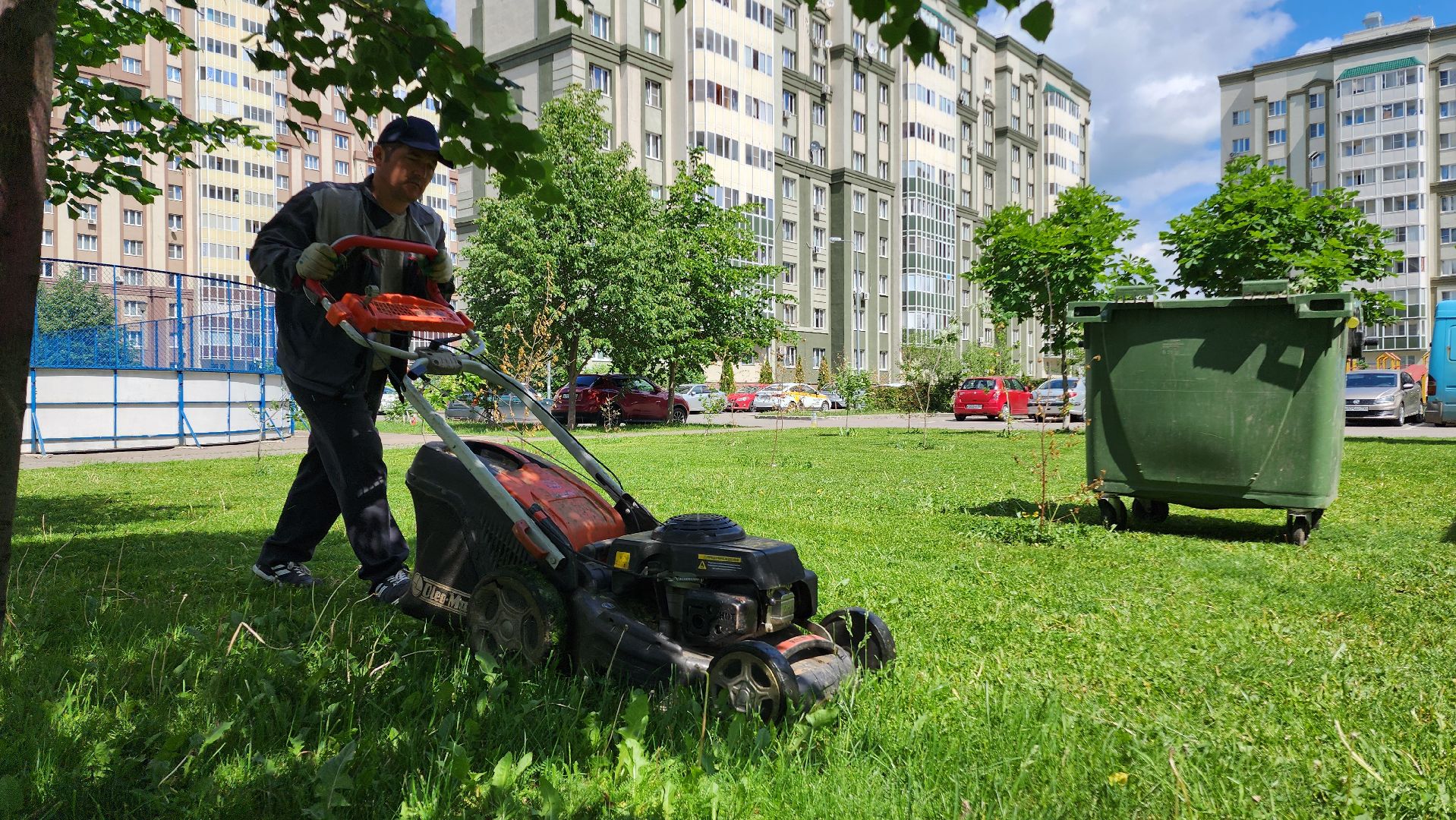 Домодедово, Подмосковье, Благоустройство, управляющая компания, Сезонные работы, газон, Трава, Озеленение,