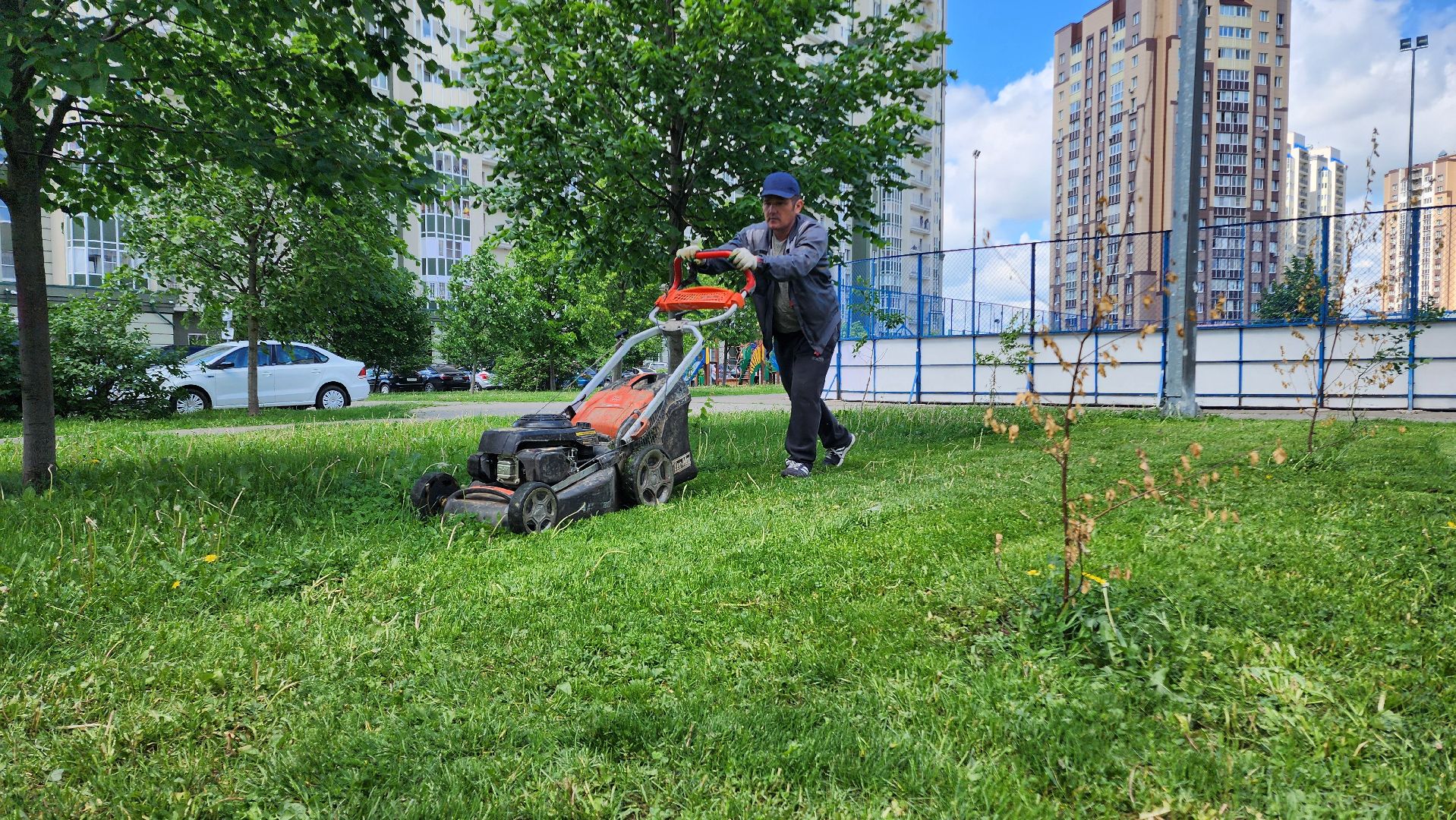 Домодедово, Подмосковье, Благоустройство, управляющая компания, Сезонные работы, газон, Трава, Озеленение,