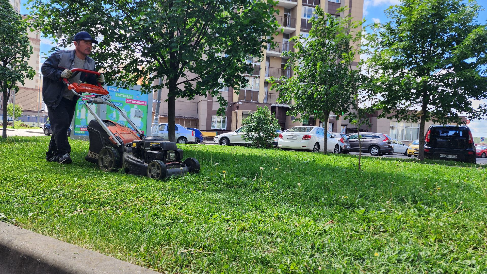 Домодедово, Подмосковье, Благоустройство, управляющая компания, Сезонные работы, газон, Трава, Озеленение,