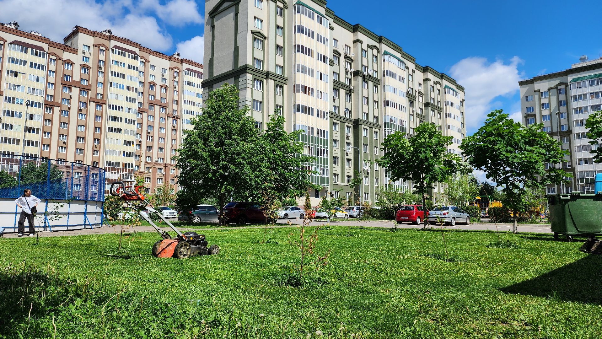 Домодедово, Подмосковье, Благоустройство, управляющая компания, Сезонные работы, газон, Трава, Озеленение,