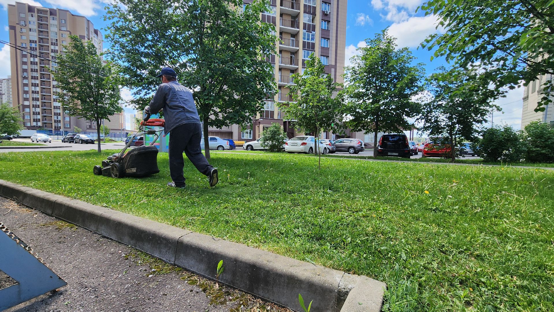 Домодедово, Подмосковье, Благоустройство, управляющая компания, Сезонные работы, газон, Трава, Озеленение,
