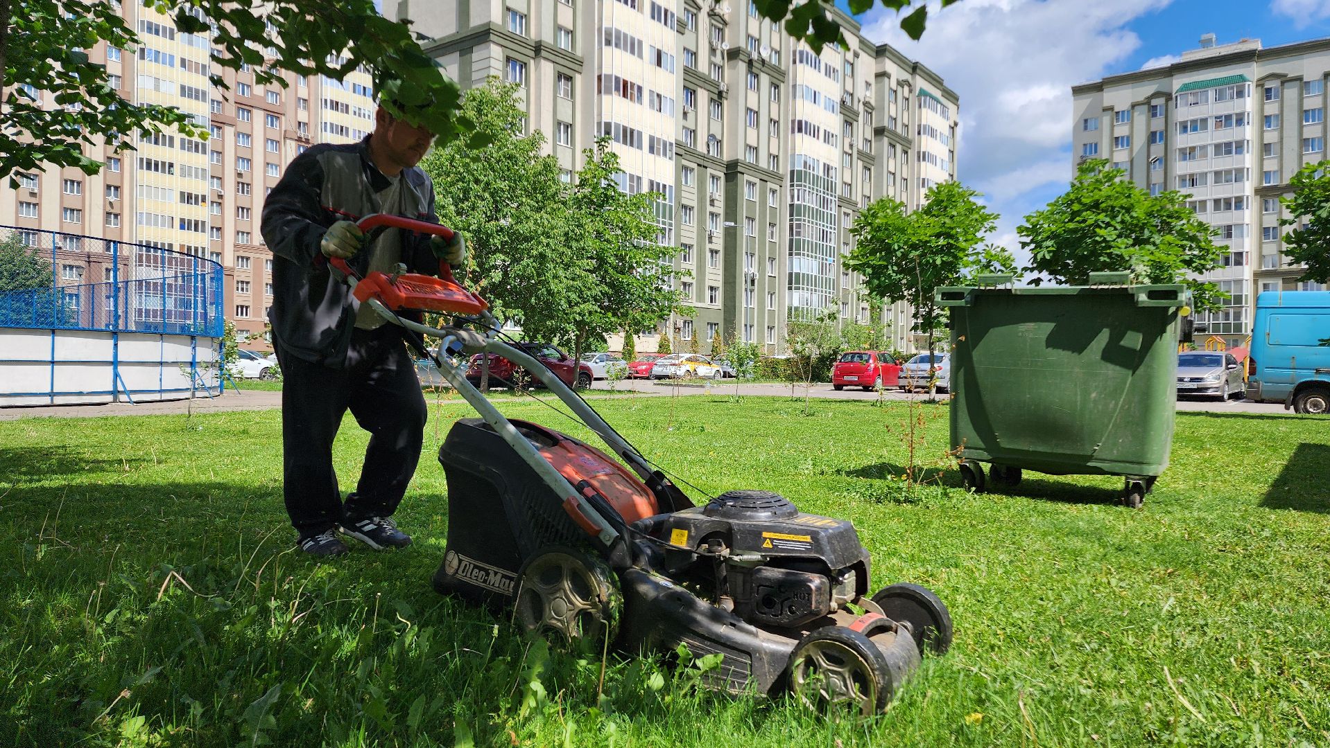 Домодедово, Подмосковье, Благоустройство, управляющая компания, Сезонные работы, газон, Трава, Озеленение,