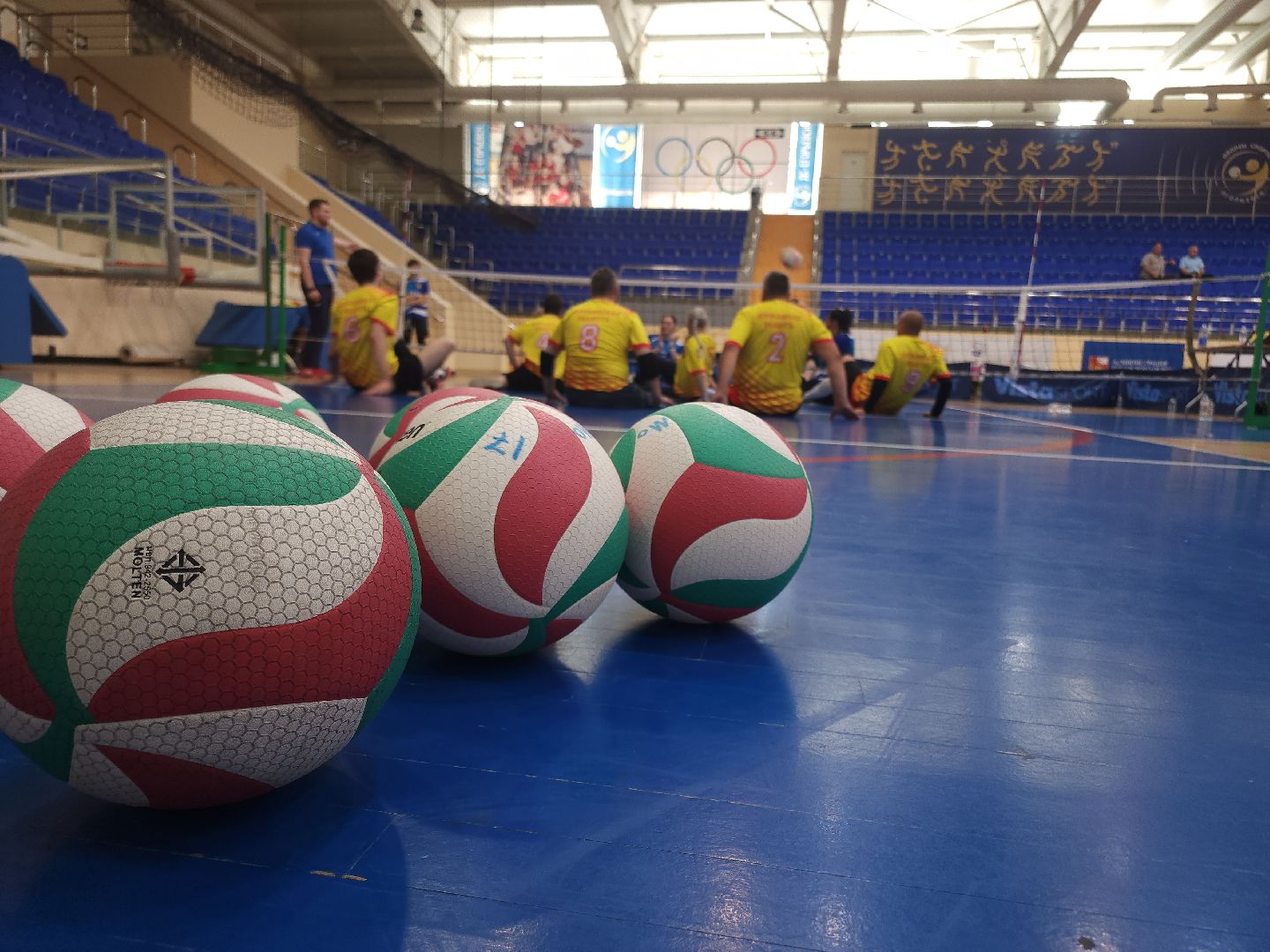 Егорьевск, волейбол сидя, Подмосковье, Московская область, спорт,