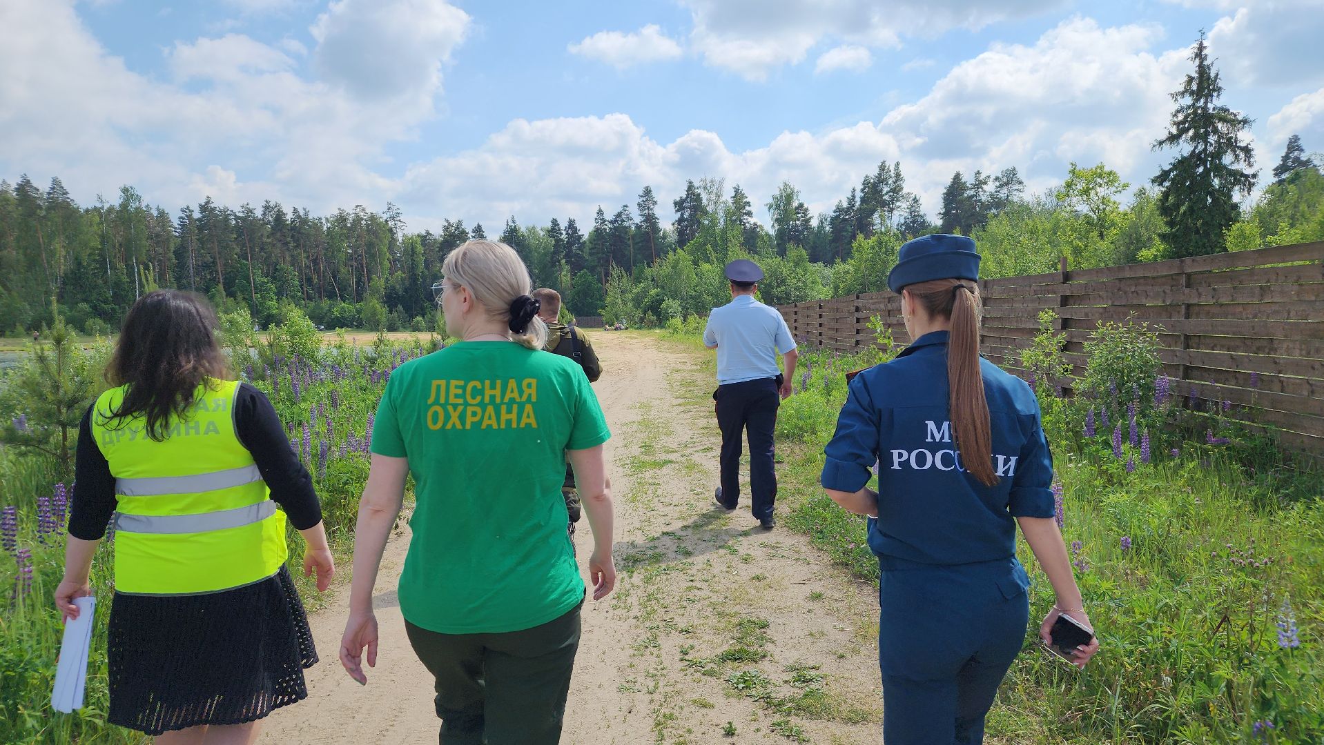 лес, пожарная безопасность, Лосино-Петровский,