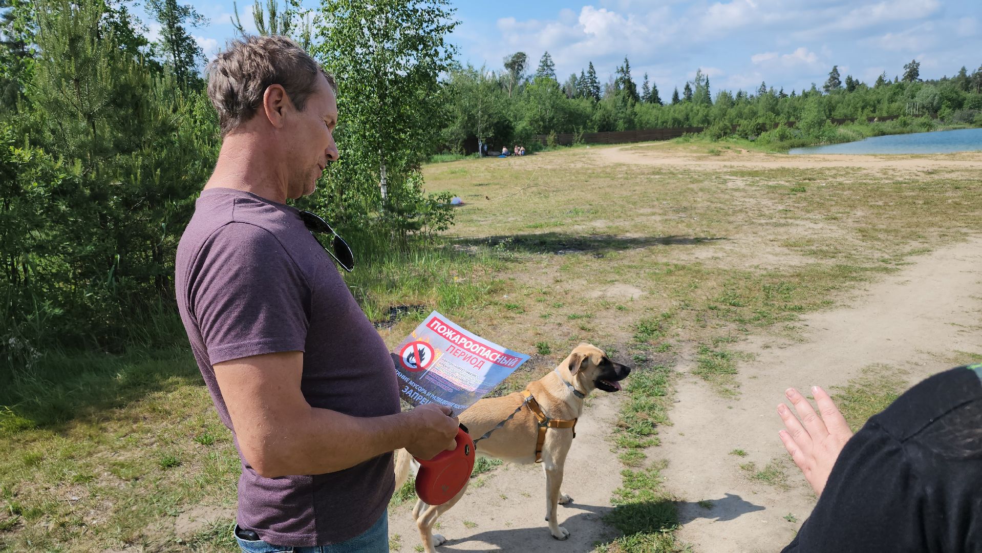 лес, пожарная безопасность, Лосино-Петровский,