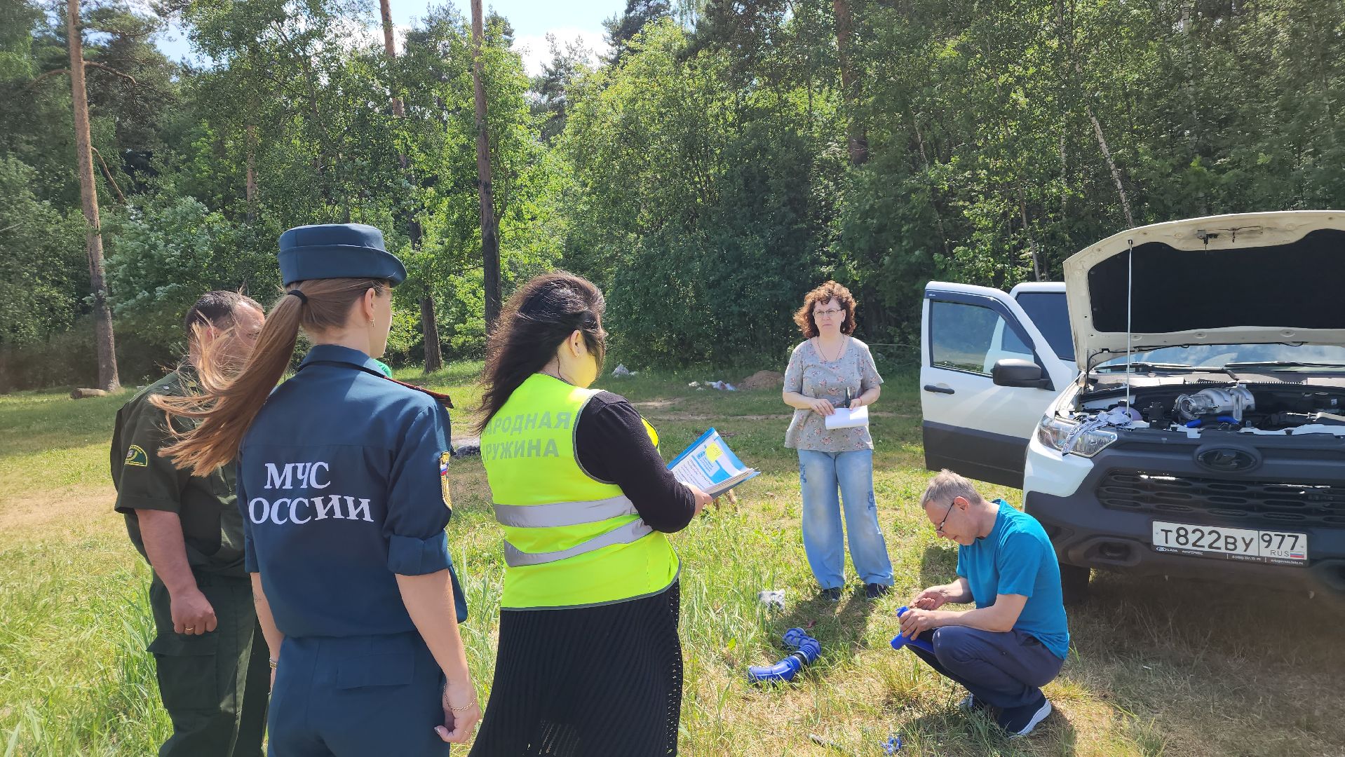 лес, пожарная безопасность, Лосино-Петровский,