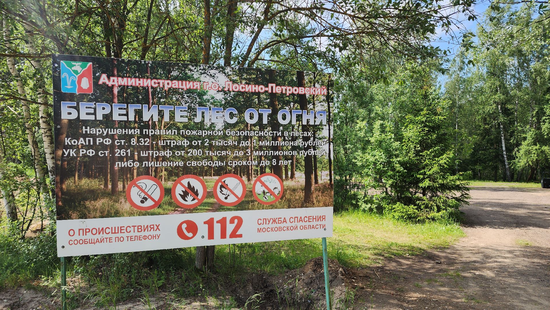 лес, пожарная безопасность, Лосино-Петровский,