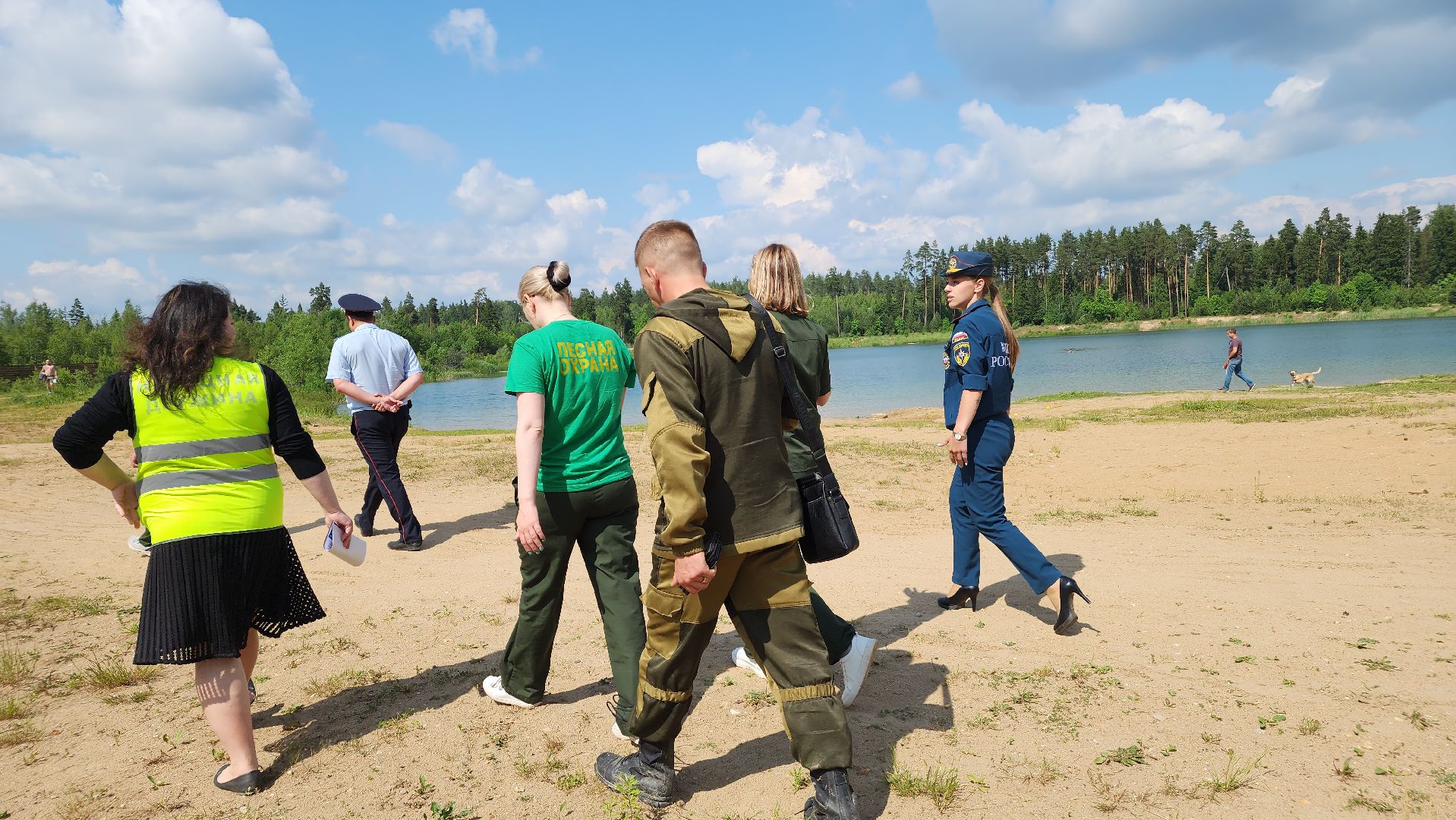 лес, пожарная безопасность, Лосино-Петровский,