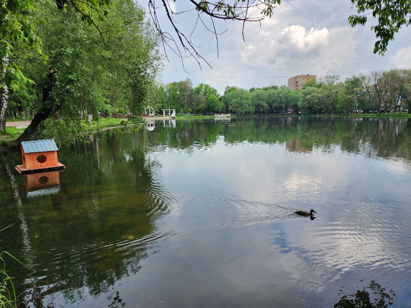 раменское, благоустройство,домик для уток на озере Пионер,
