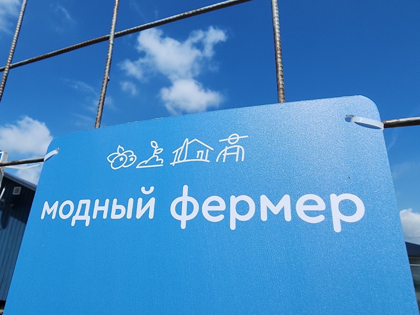 Сельское хозяйство, Серебряные Пруды, деревня Серково, Ягодная ферма, питомник, голубика, рододендрон,