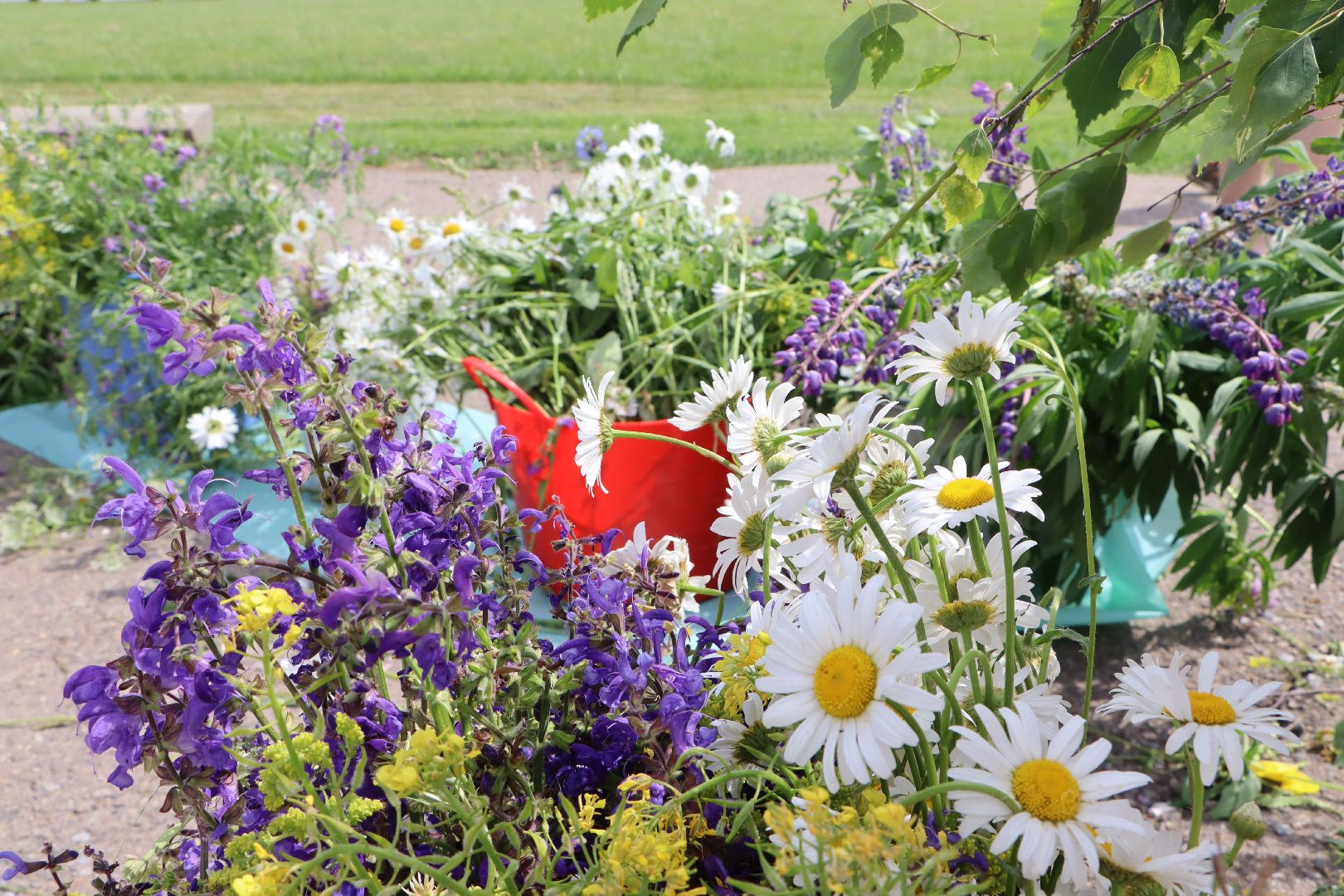 День России, Серебряные Пруды, парк Серебряный, Мамино время, министерство социального развития подмосковья, С Россией в сердце, Комплексный центр социального обслуживания и реабилитации Серебряно-Прудский», дети с ОВЗ,