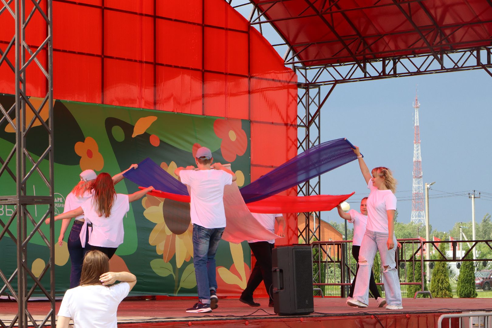 День России, Серебряные Пруды, парк Серебряный, Мамино время, министерство социального развития подмосковья, С Россией в сердце, Комплексный центр социального обслуживания и реабилитации Серебряно-Прудский», дети с ОВЗ,