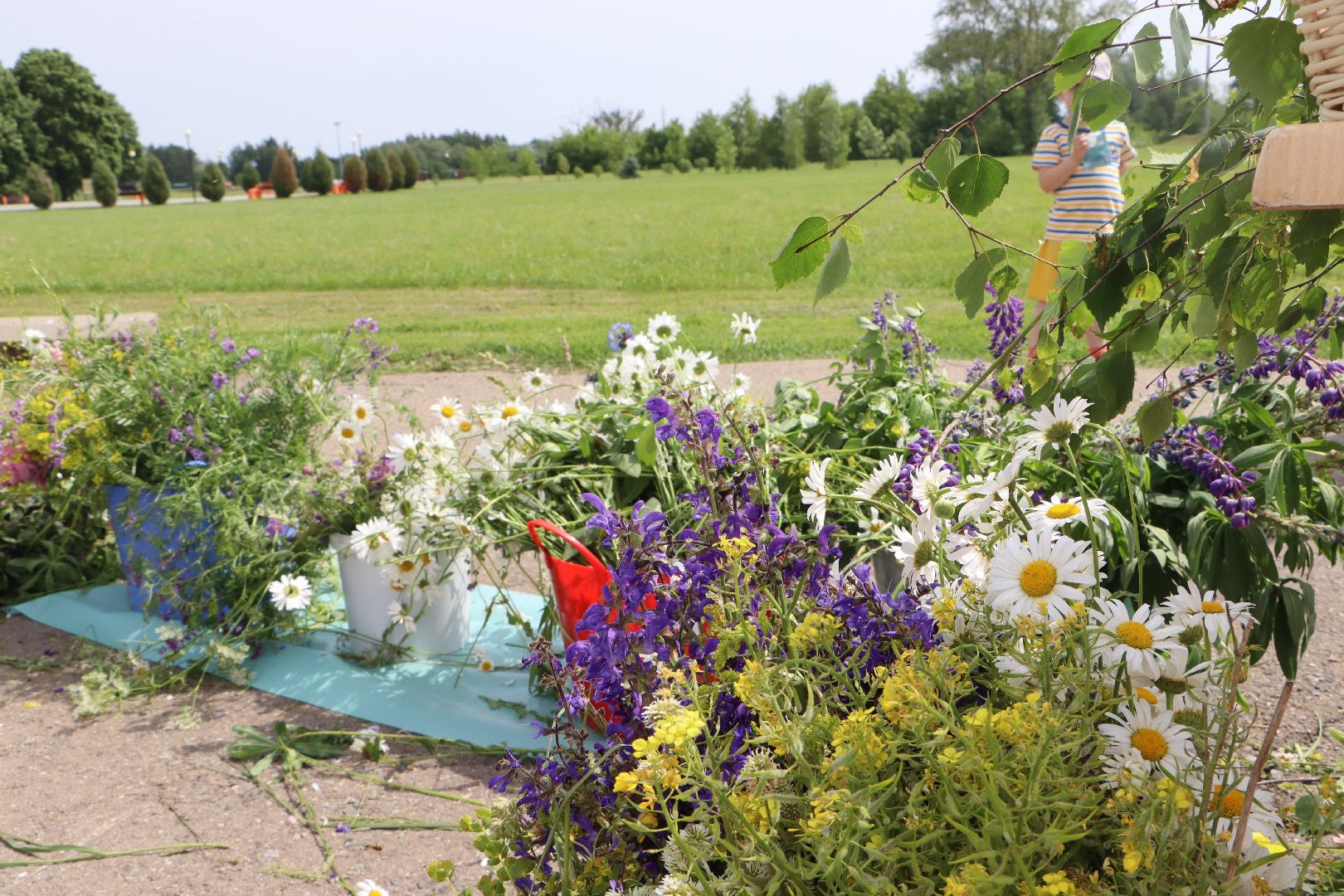 День России, Серебряные Пруды, парк Серебряный, Мамино время, министерство социального развития подмосковья, С Россией в сердце, Комплексный центр социального обслуживания и реабилитации Серебряно-Прудский», дети с ОВЗ,