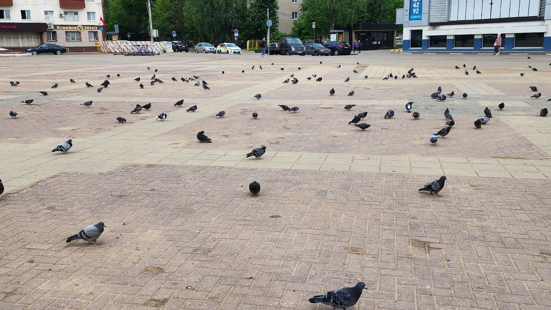 Солнечногорск, благоустройство, советская площадь, комфортная среда,
