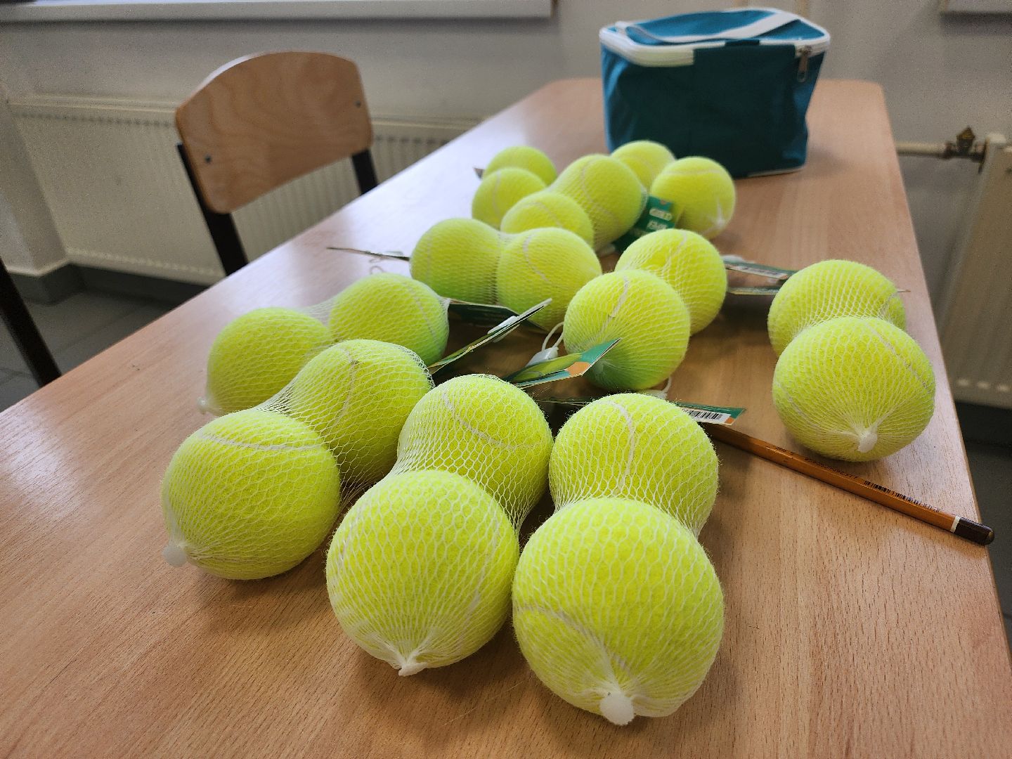 Лагерь дневного пребывания, школьный лагерь, мытищи,