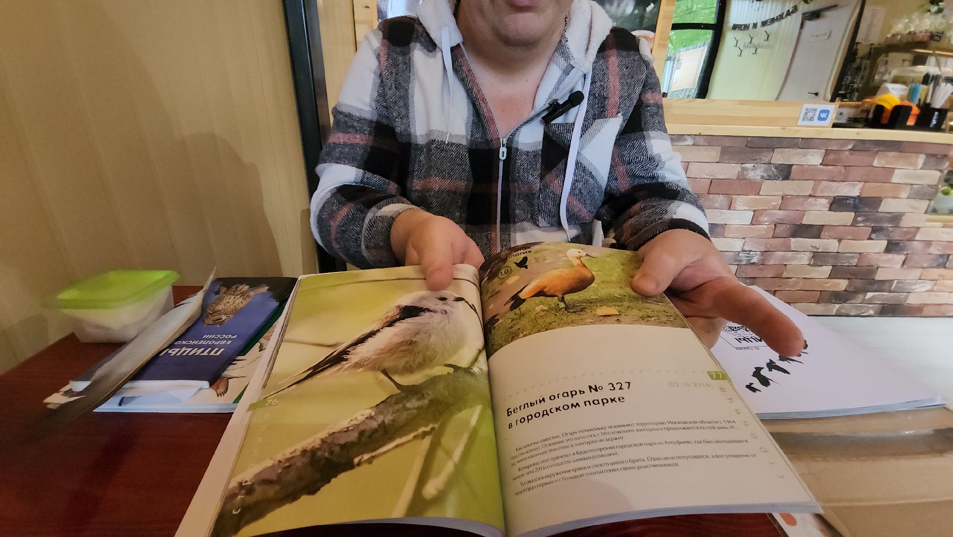 орнитология, городской парк, красногорск, парки подмосковья, птицы подмосковья,