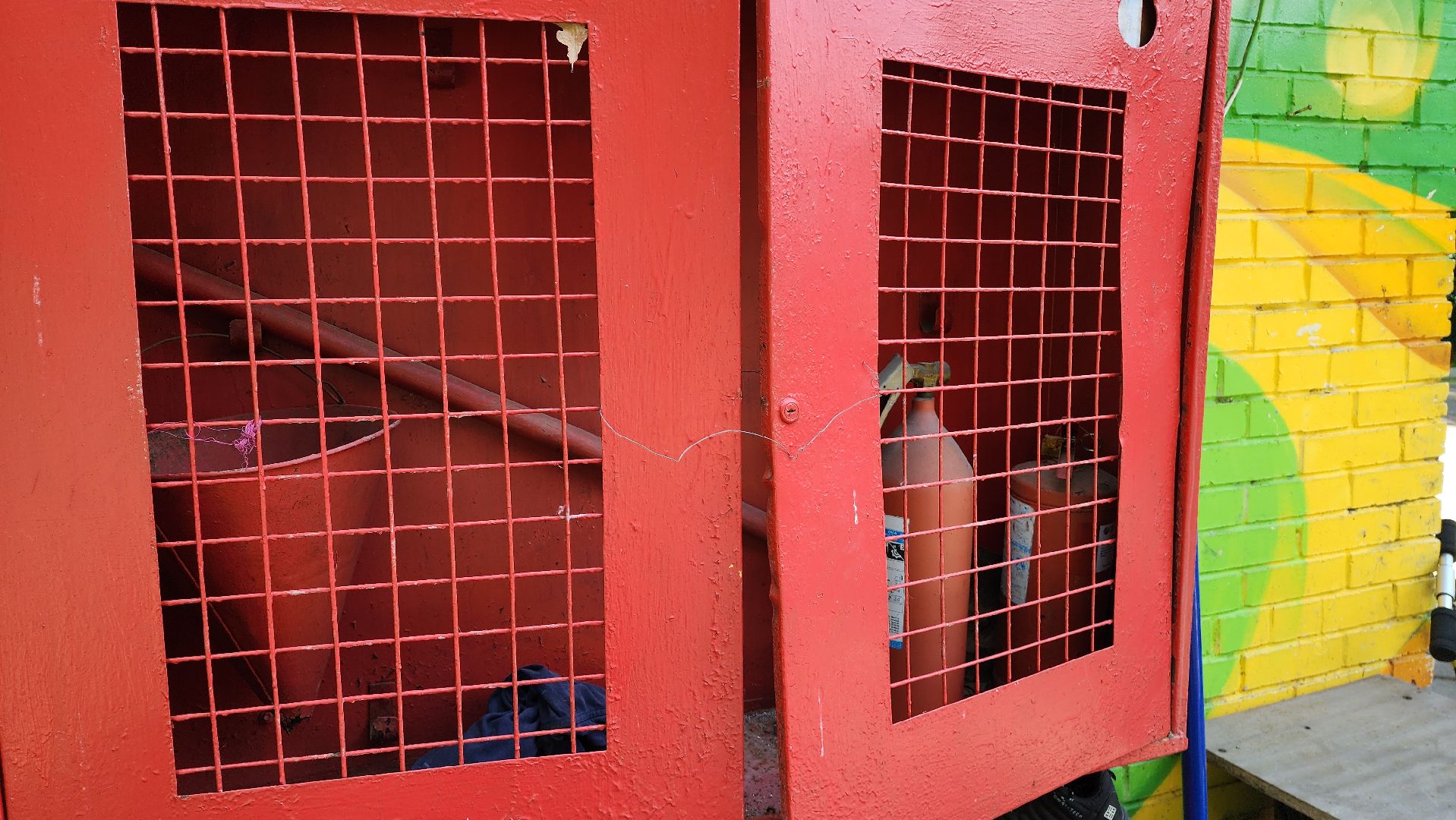 орнитология, городской парк, красногорск, парки подмосковья, птицы подмосковья,