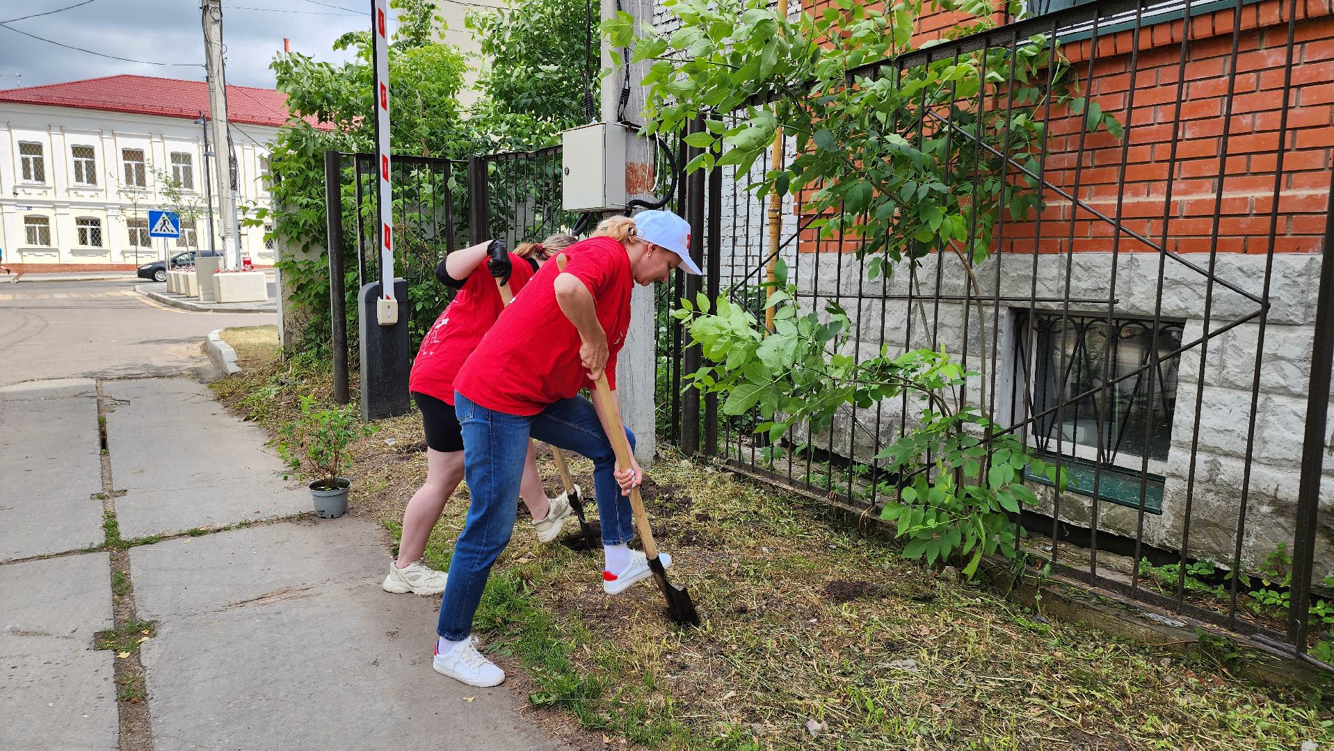 кашира, молодая гвардия, движение первых, высадка кустов, чубушник, следственный отдел, экологическая акция, волонтеры,