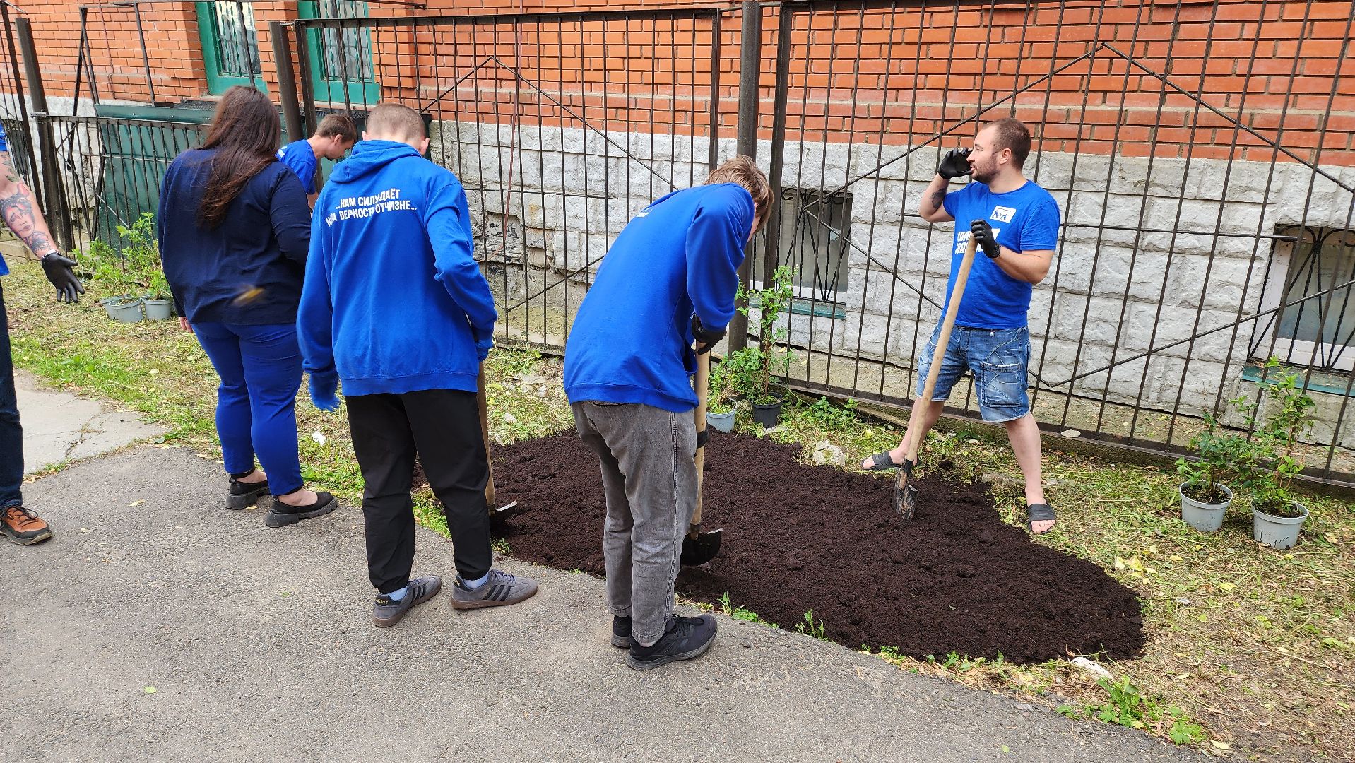 кашира, молодая гвардия, движение первых, высадка кустов, чубушник, следственный отдел, экологическая акция, волонтеры,