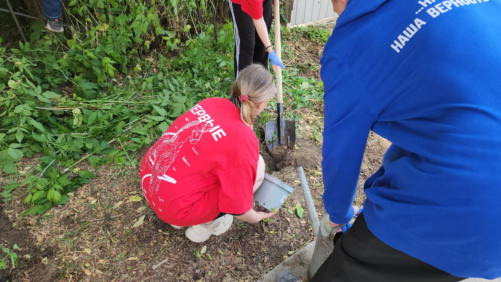 кашира, молодая гвардия, движение первых, высадка кустов, чубушник, следственный отдел, экологическая акция, волонтеры,