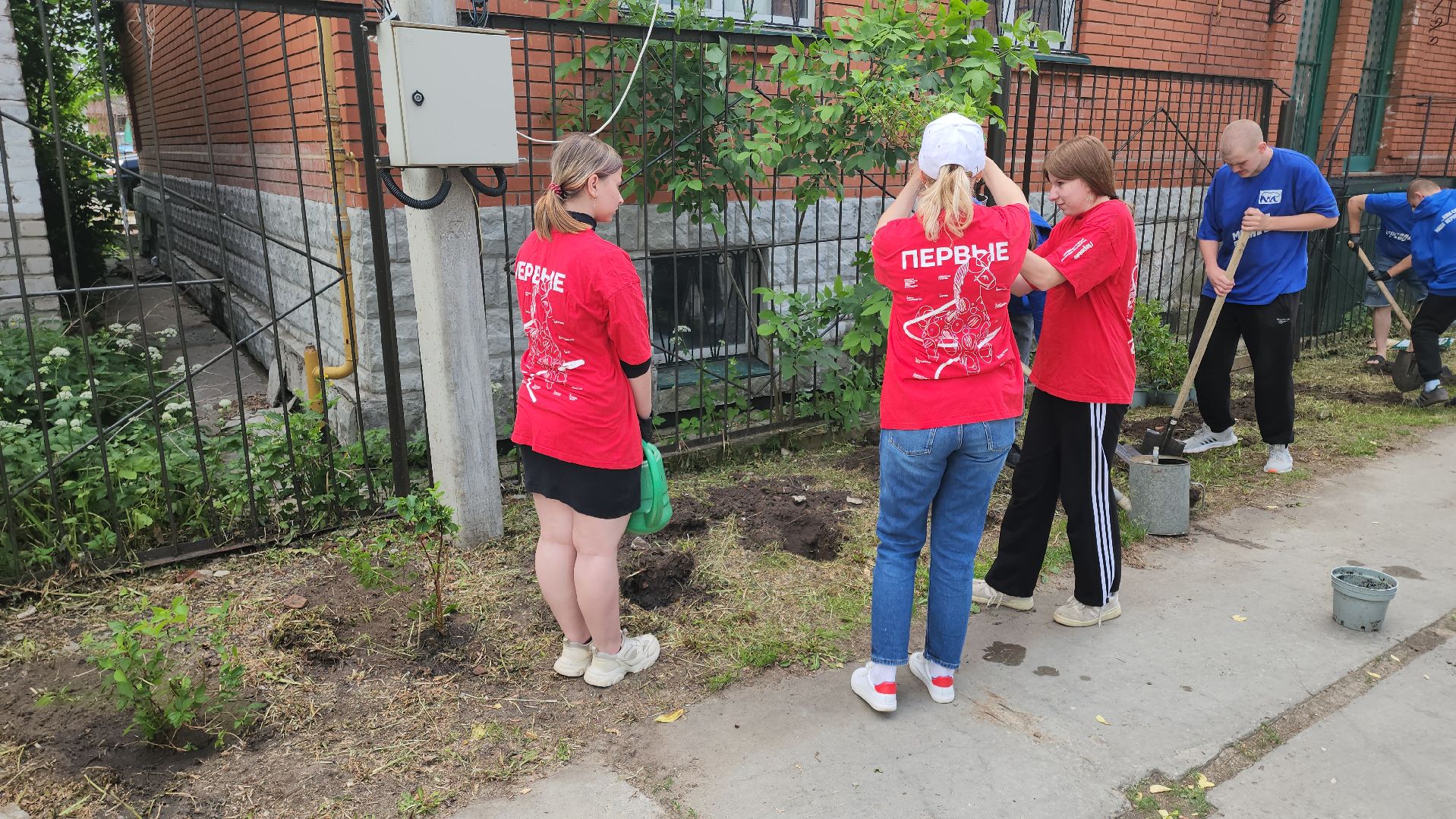 кашира, молодая гвардия, движение первых, высадка кустов, чубушник, следственный отдел, экологическая акция, волонтеры,