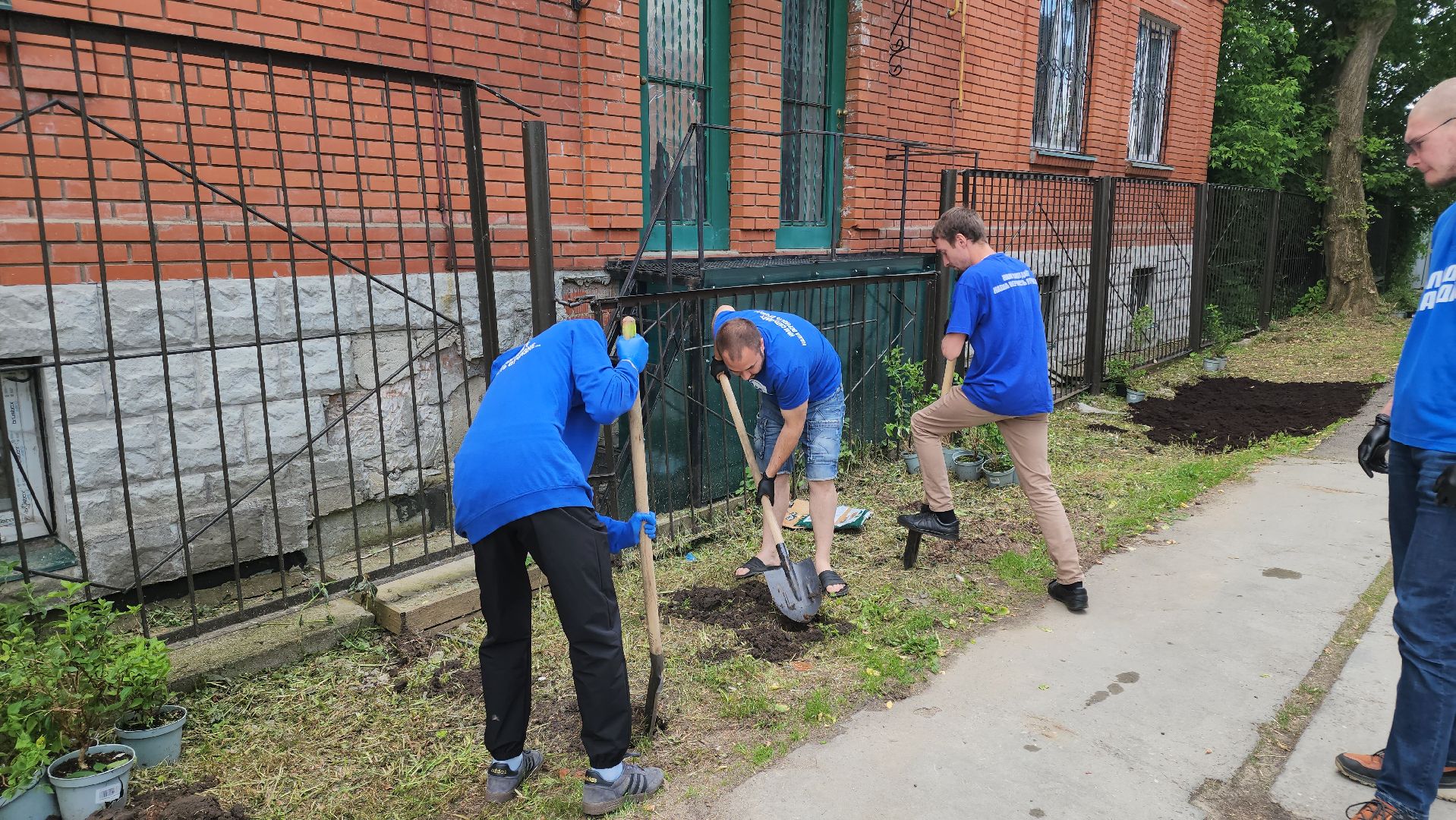 кашира, молодая гвардия, движение первых, высадка кустов, чубушник, следственный отдел, экологическая акция, волонтеры,