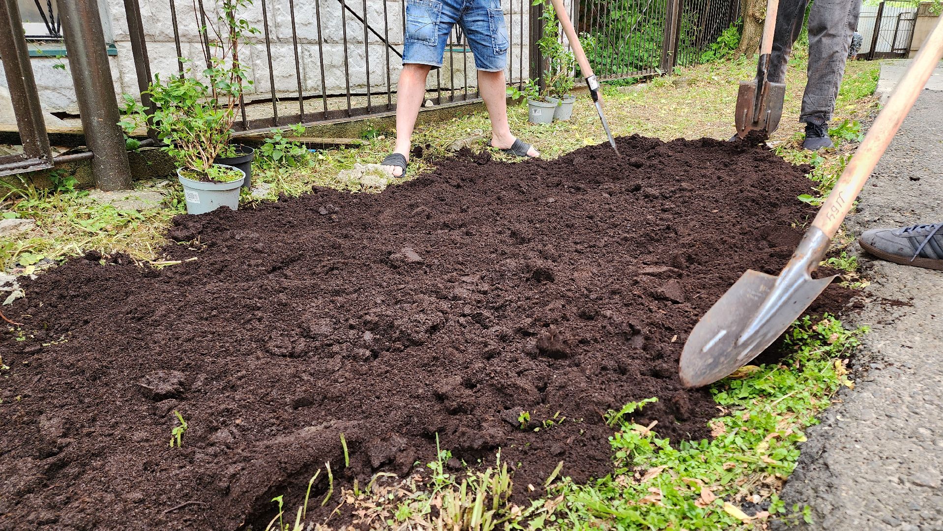 кашира, молодая гвардия, движение первых, высадка кустов, чубушник, следственный отдел, экологическая акция, волонтеры,