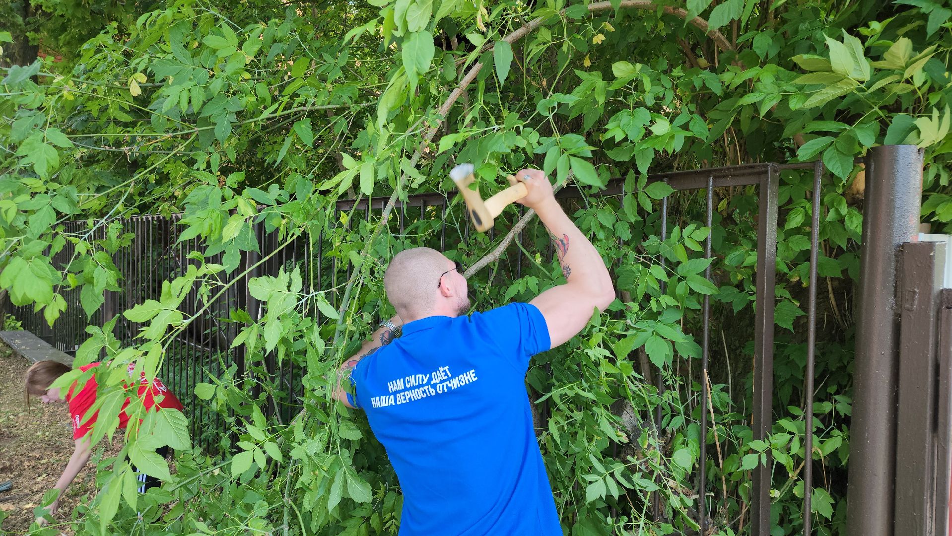 кашира, молодая гвардия, движение первых, высадка кустов, чубушник, следственный отдел, экологическая акция, волонтеры,