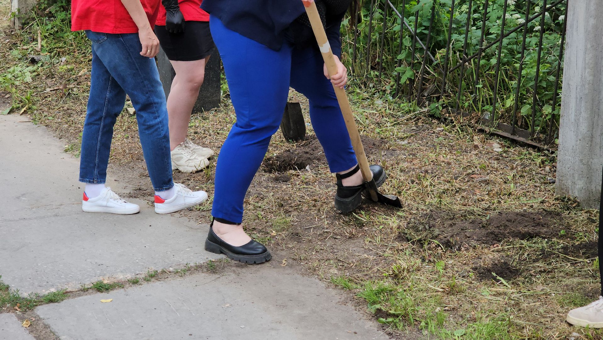 кашира, молодая гвардия, движение первых, высадка кустов, чубушник, следственный отдел, экологическая акция, волонтеры,