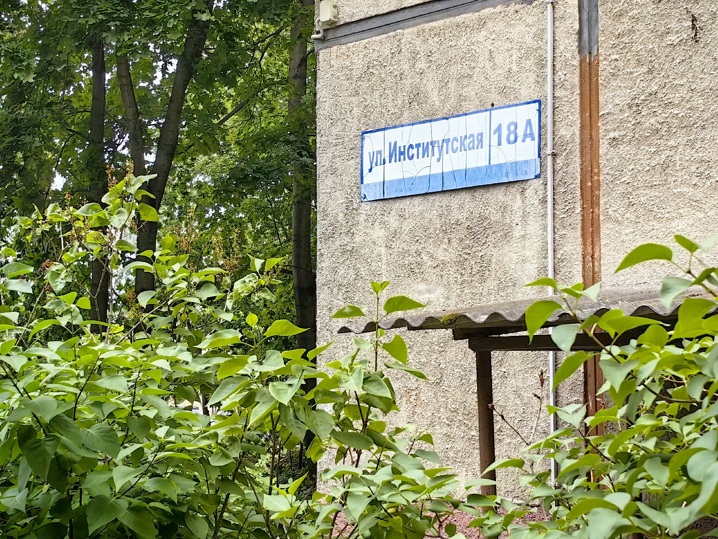 выездная администрация, освещение улиц, благоустройство, ремонт дороги, щёлково,