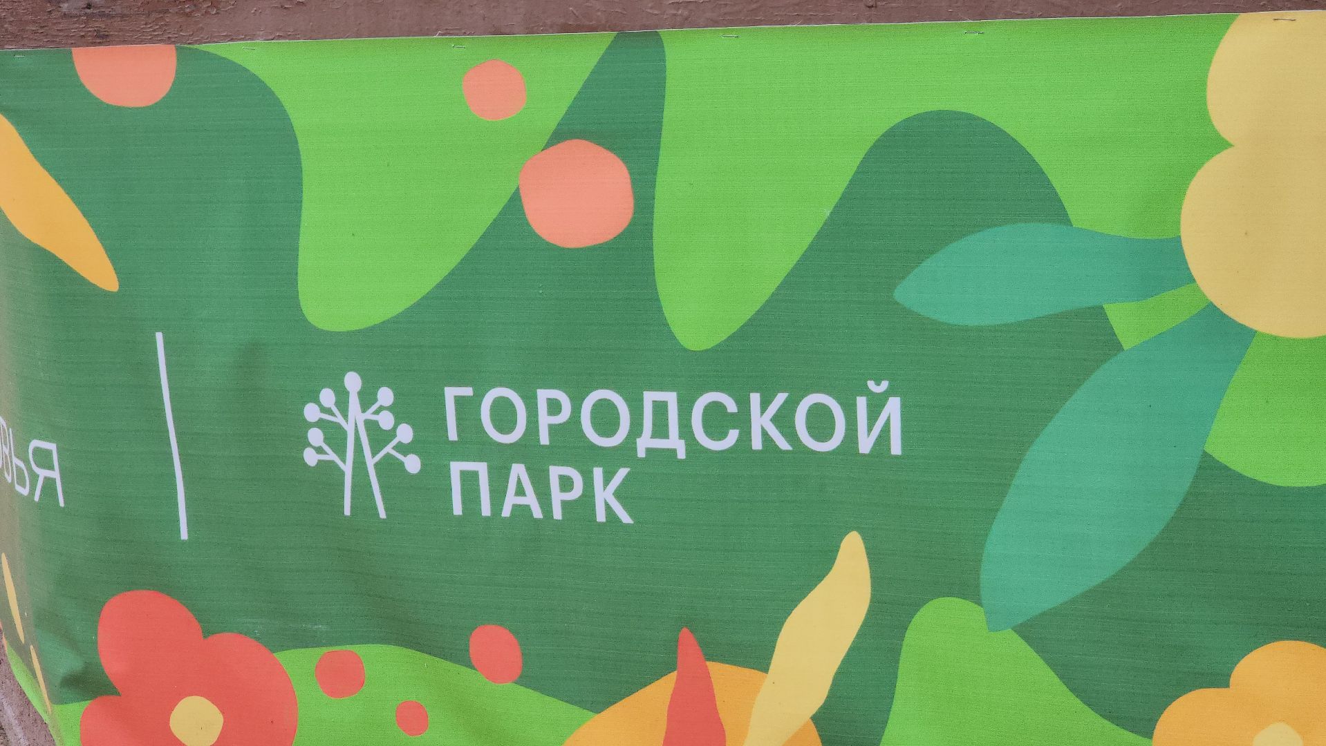 Павловский Посад, Городской округ Павловский Посад, Жители, Парк, Лето в Подмосковье, Концерт,