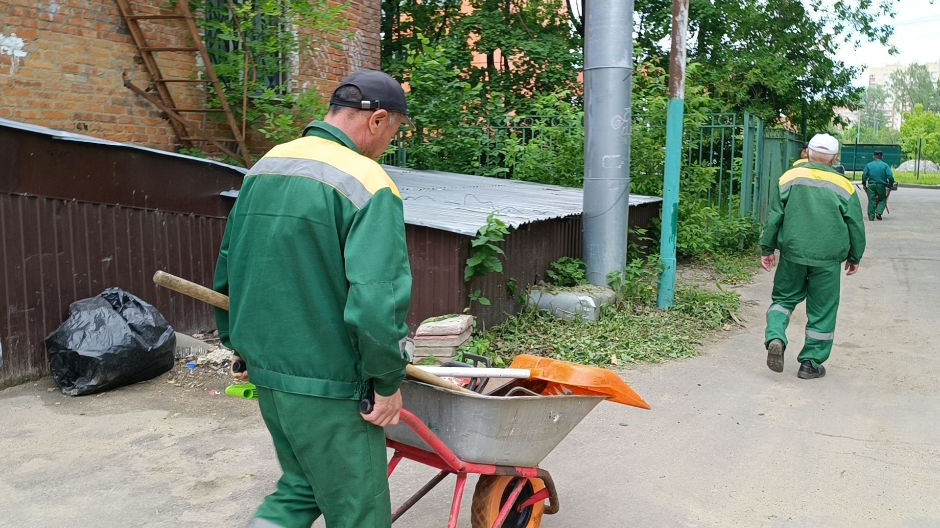 трава, лобня, благоустройство, жкх,