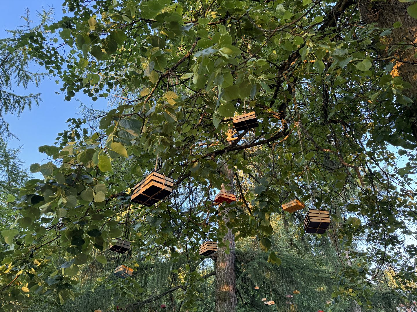 Одинцово, Большие вяземы, Усадьба Голицыных, Арт-пикник в Вяземах, Проект ПОЭТ,