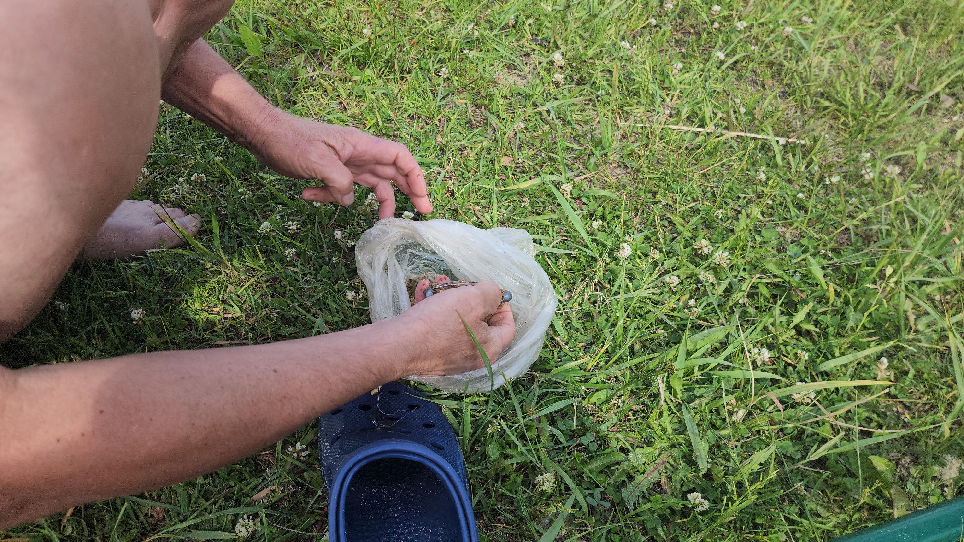 шатура, пляжный отдых, отдых в подмосковье, семейный отдых, отдых у воды, пляжный отдых, пляжный сезон,