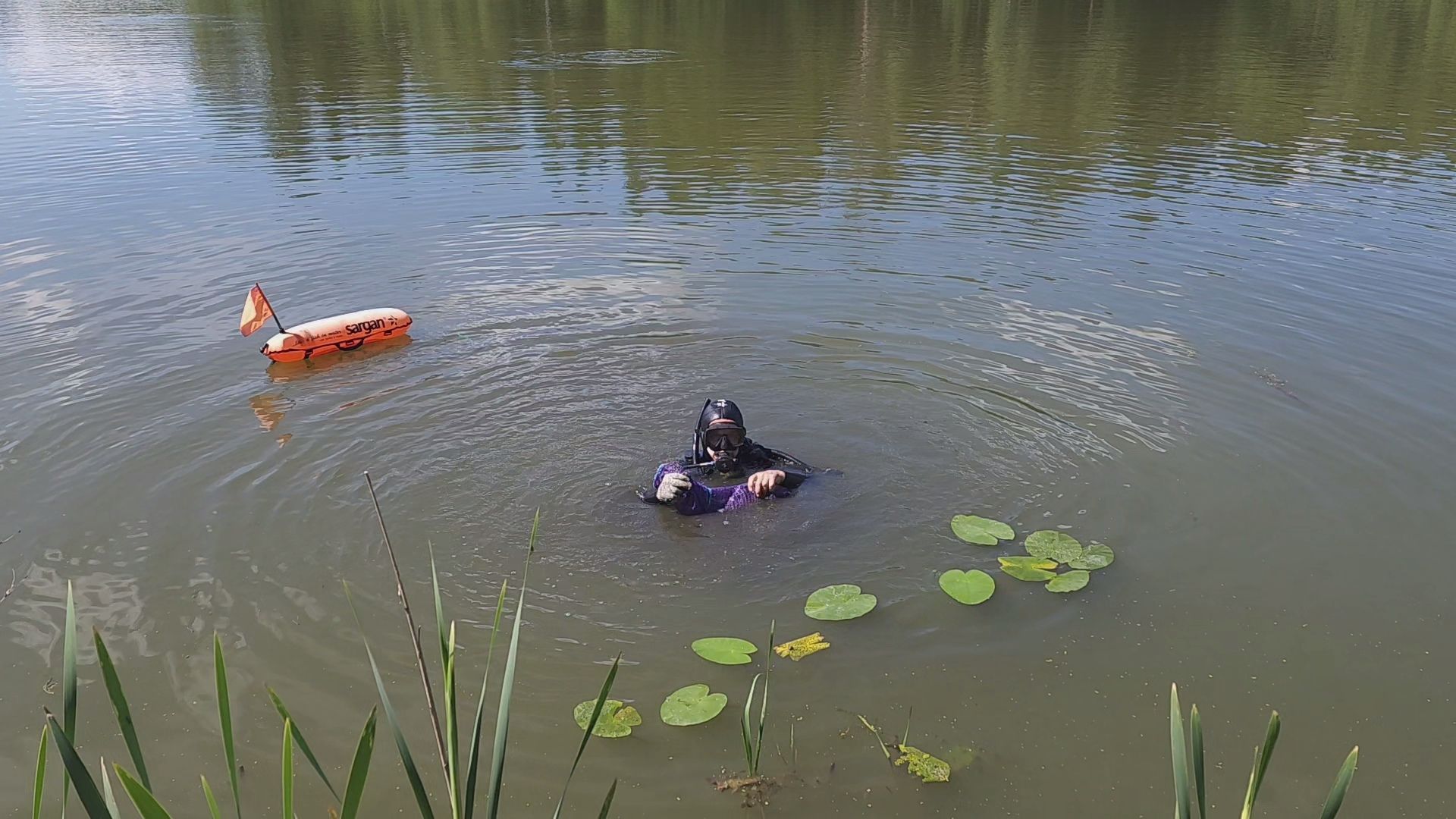 Одинцово, экология, экокубинка, депутат, пруд, старый городок, старогородковский пруд, мусор, волонтеры,