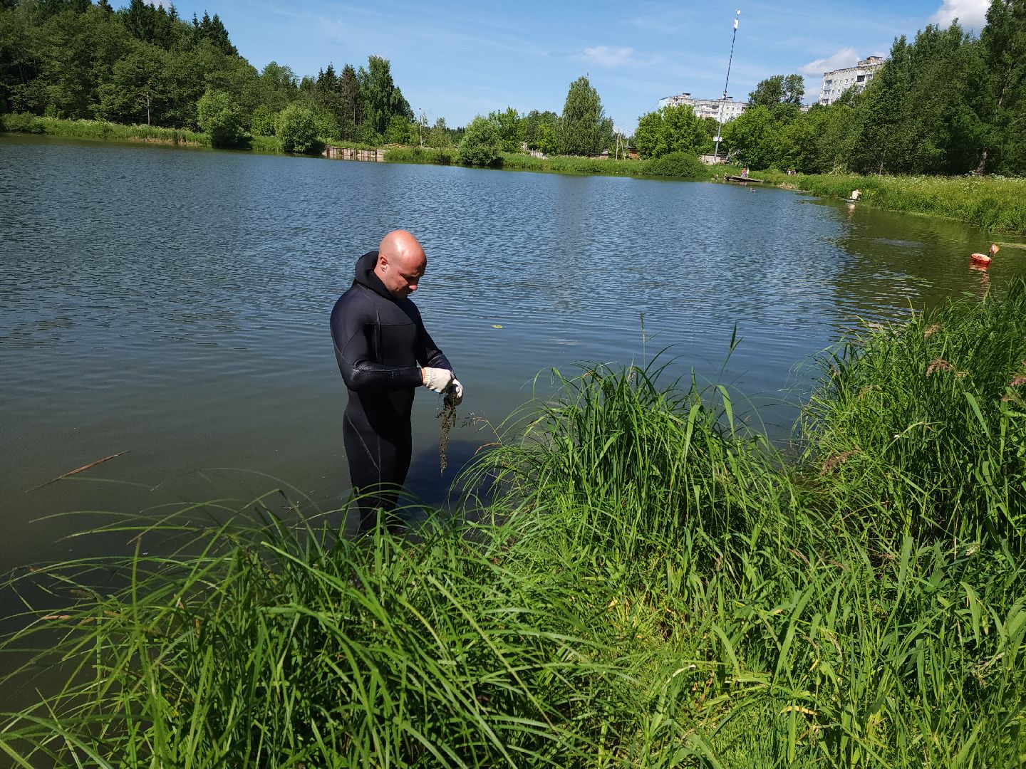 Одинцово, экология, экокубинка, депутат, пруд, старый городок, старогородковский пруд, мусор, волонтеры,