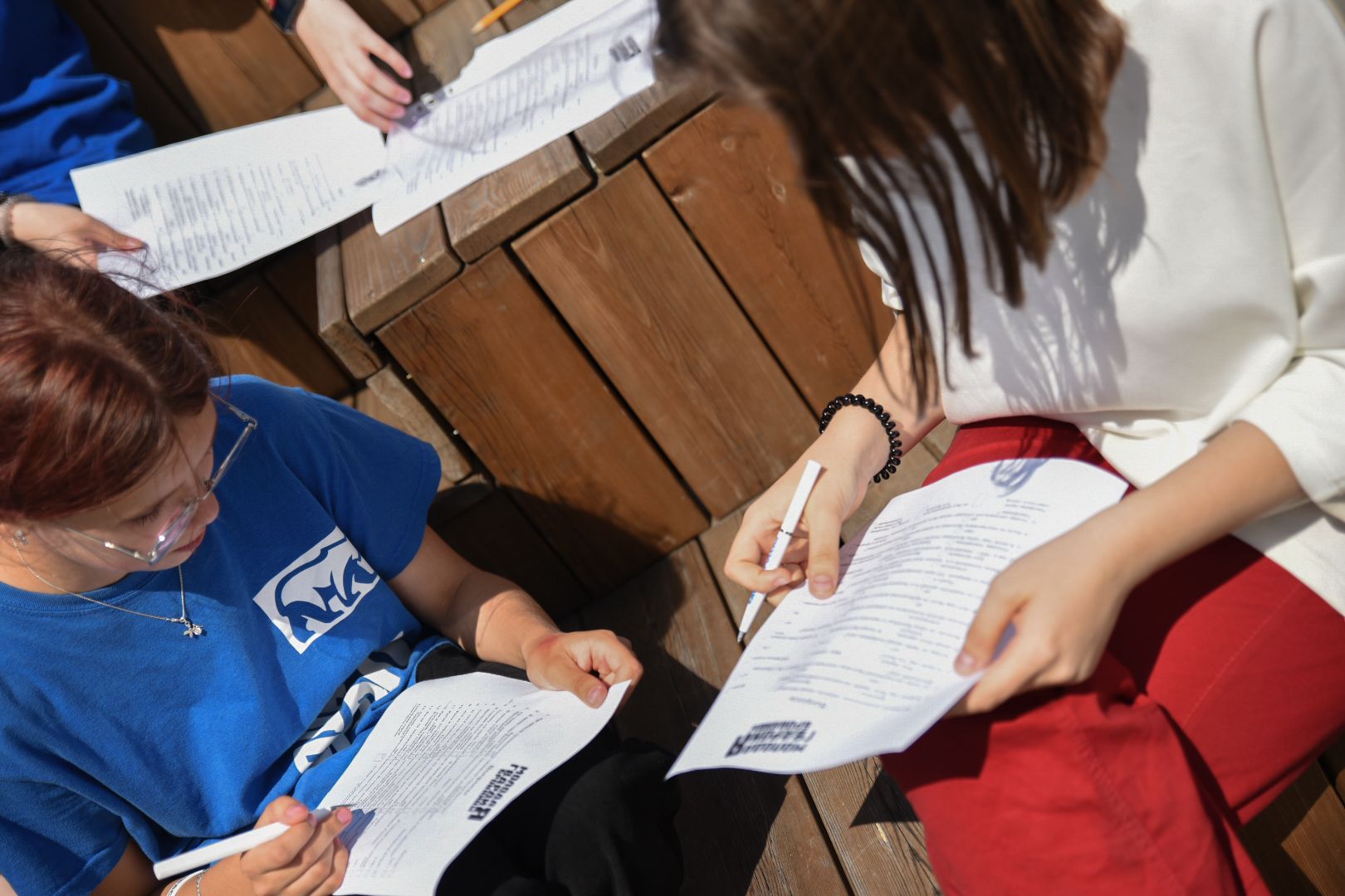 Бронницы, Парк Бронницкий Луг, Мероприятия в парке, Пушкиниана, В парке о Пушкине,