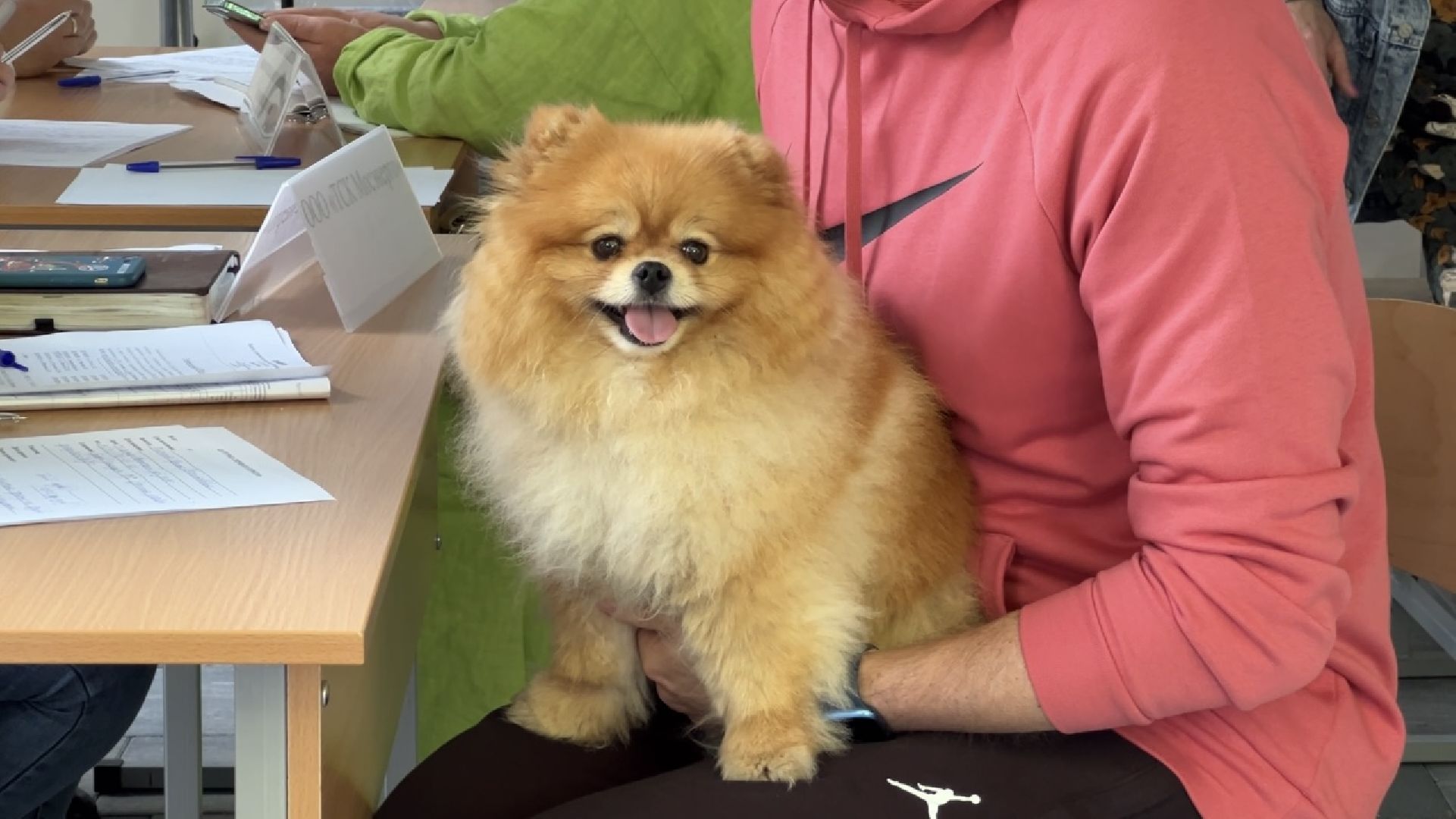 химки, выездная администрация, обращение жителей, капитальный ремонт домов, благоустройство,