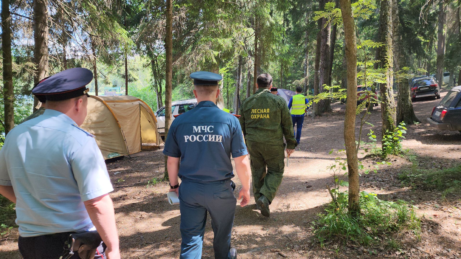 лес, пожарная безопасность, пожарная безопасность в лесу, руза, экология, рузский городской округ, московская область,