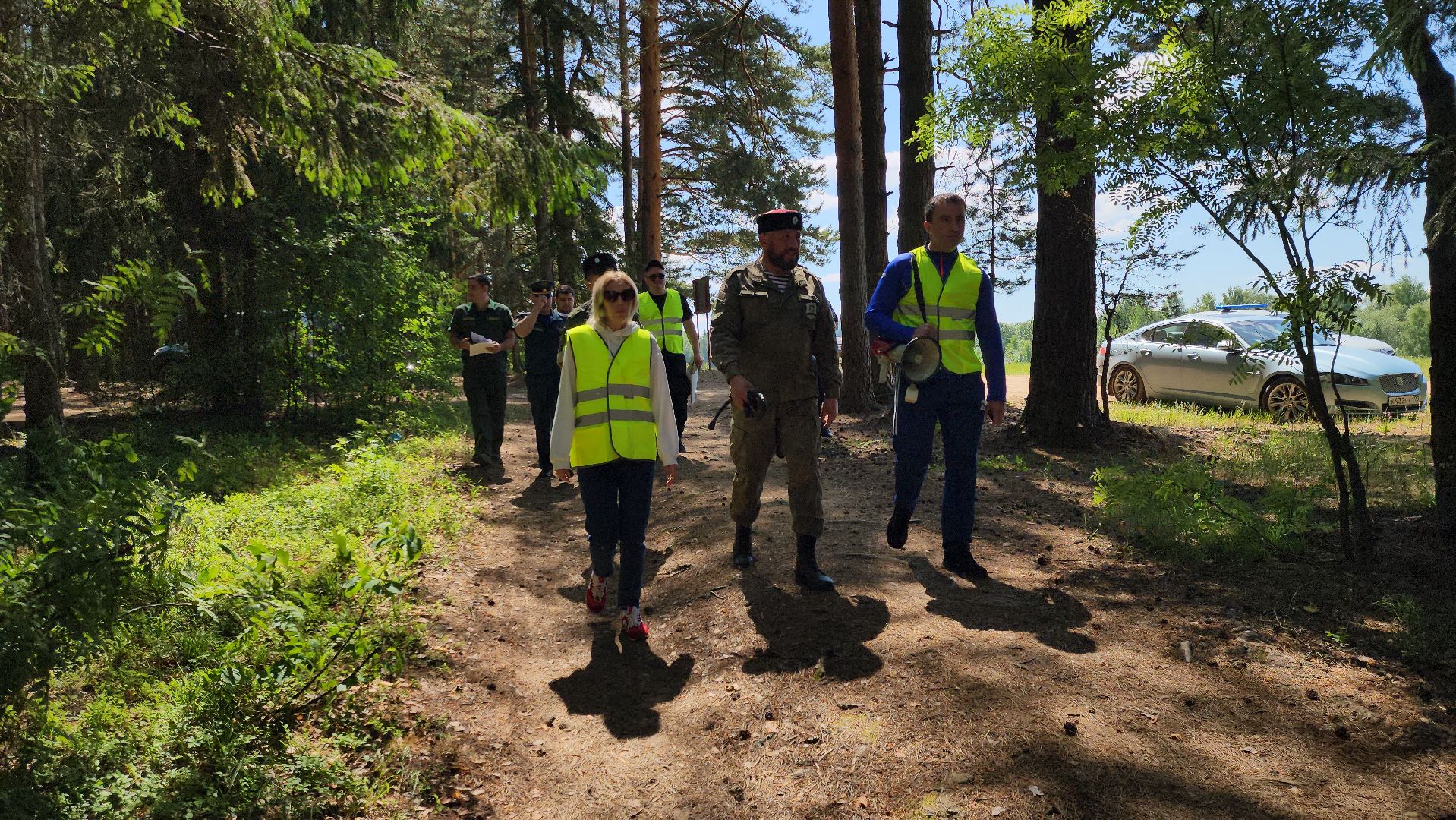 лес, пожарная безопасность, пожарная безопасность в лесу, руза, экология, рузский городской округ, московская область,
