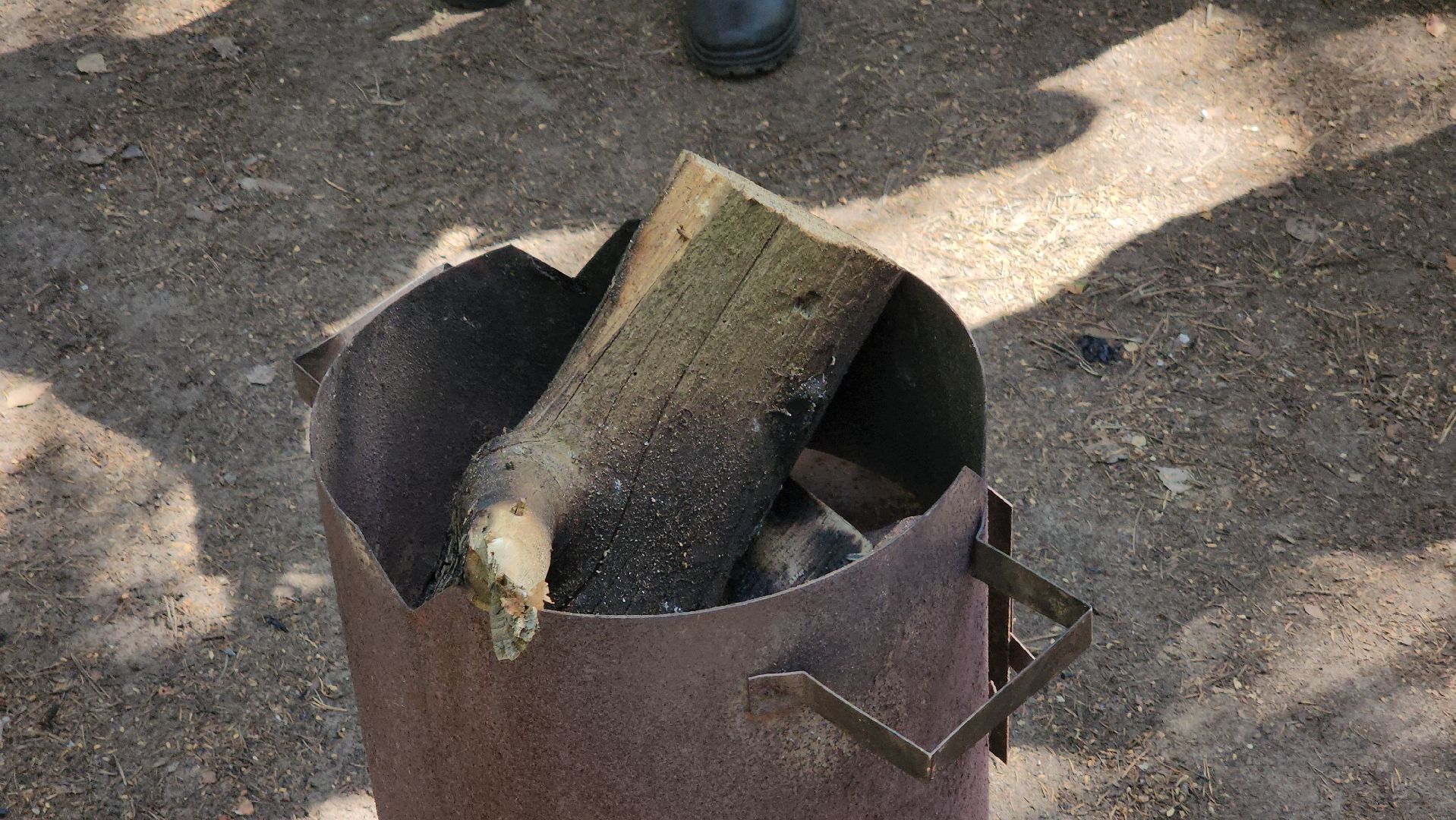 лес, пожарная безопасность, пожарная безопасность в лесу, руза, экология, рузский городской округ, московская область,