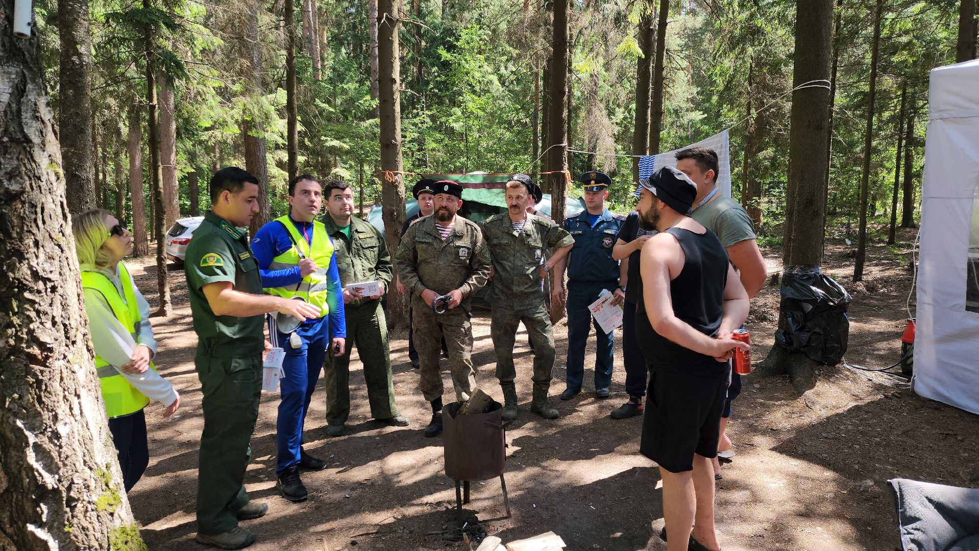 лес, пожарная безопасность, пожарная безопасность в лесу, руза, экология, рузский городской округ, московская область,