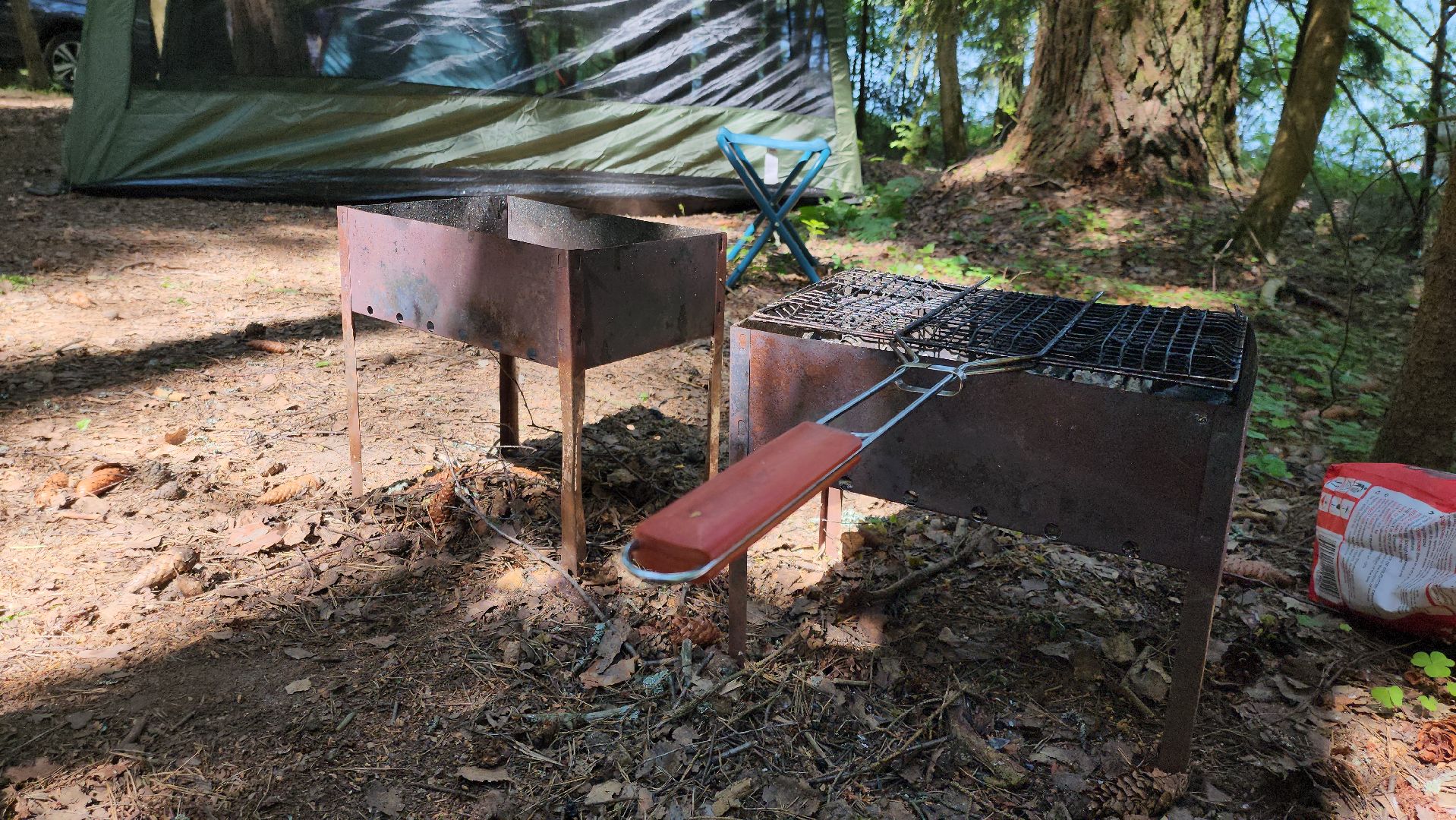 лес, пожарная безопасность, пожарная безопасность в лесу, руза, экология, рузский городской округ, московская область,