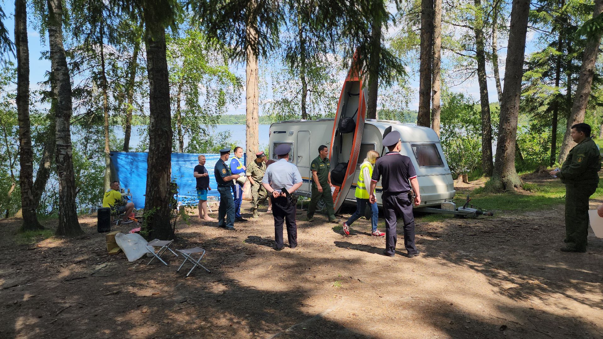 лес, пожарная безопасность, пожарная безопасность в лесу, руза, экология, рузский городской округ, московская область,