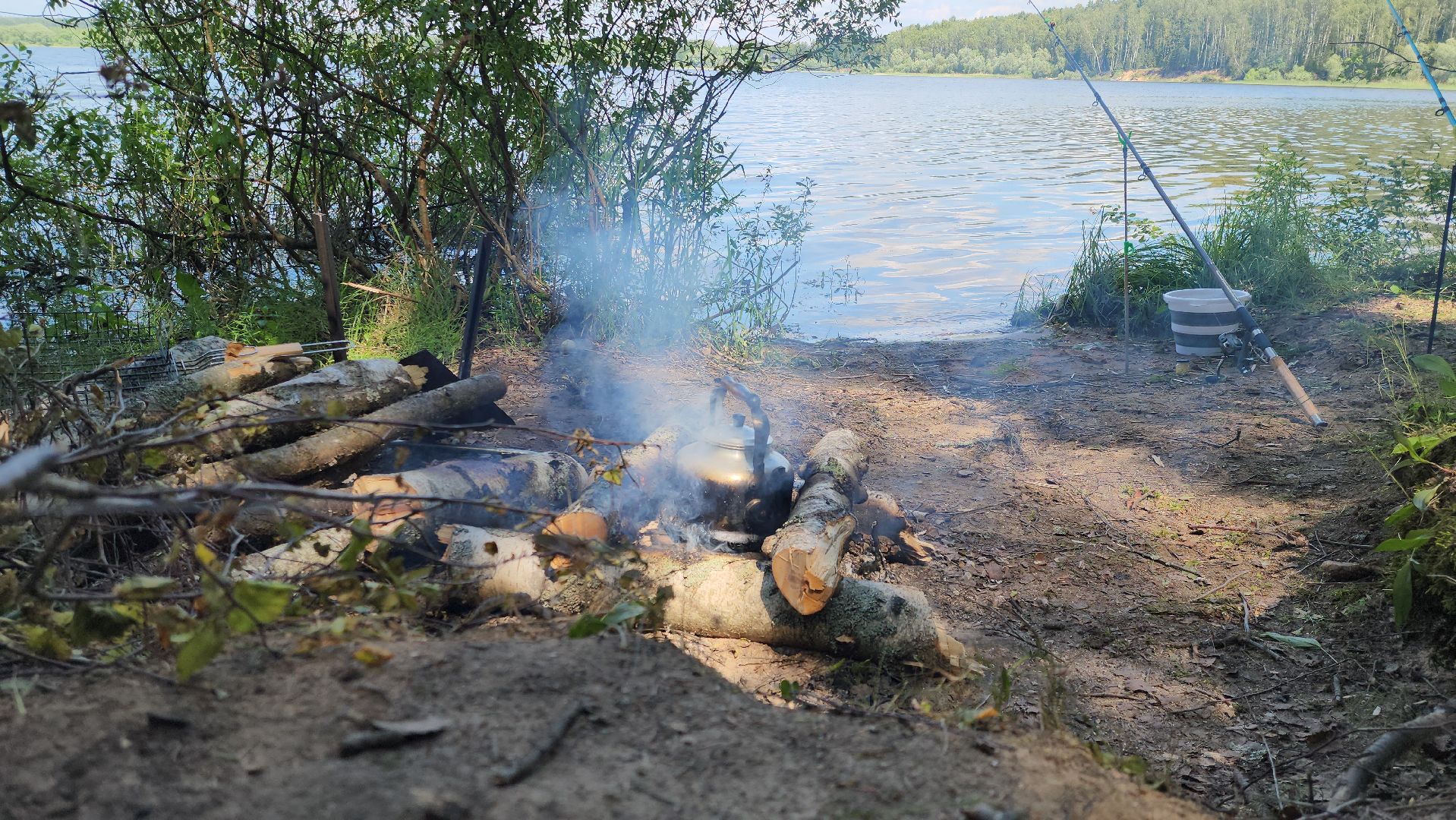 лес, пожарная безопасность, пожарная безопасность в лесу, руза, экология, рузский городской округ, московская область,