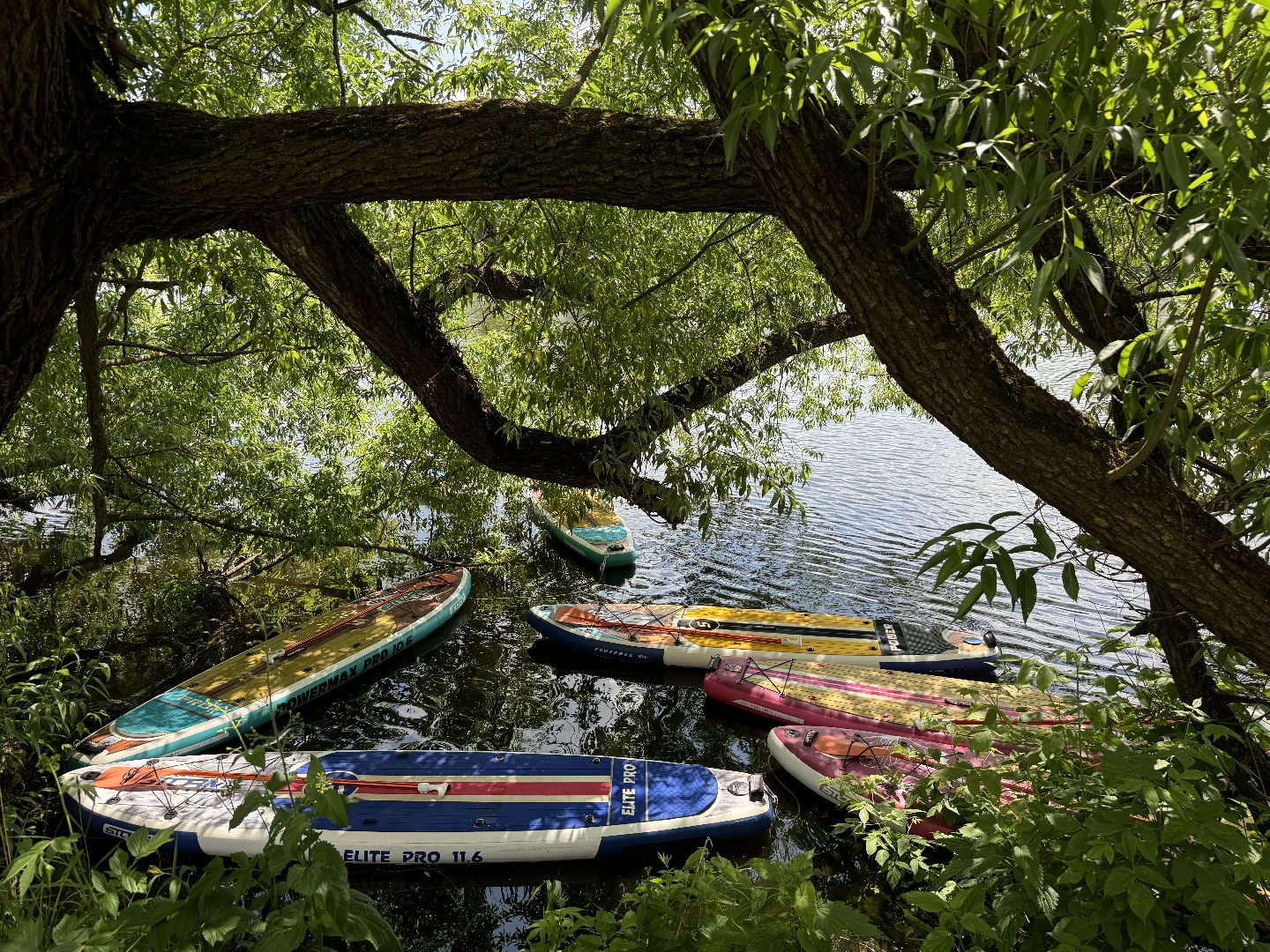 сапборд, сап-сёрфинг, музей-заповедник Горки Ленинские, Пахра, Сплав, сапсерфинг, отдых на воде, отдых у воды, ленинский городской округ,