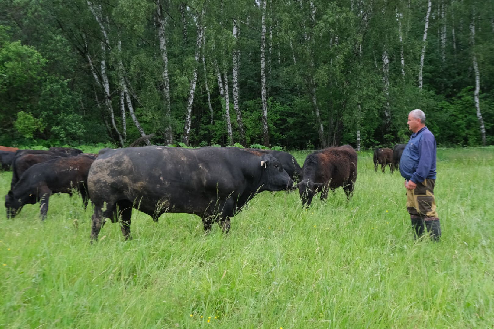 пущино, серпухов, экономика, импортозамещение,