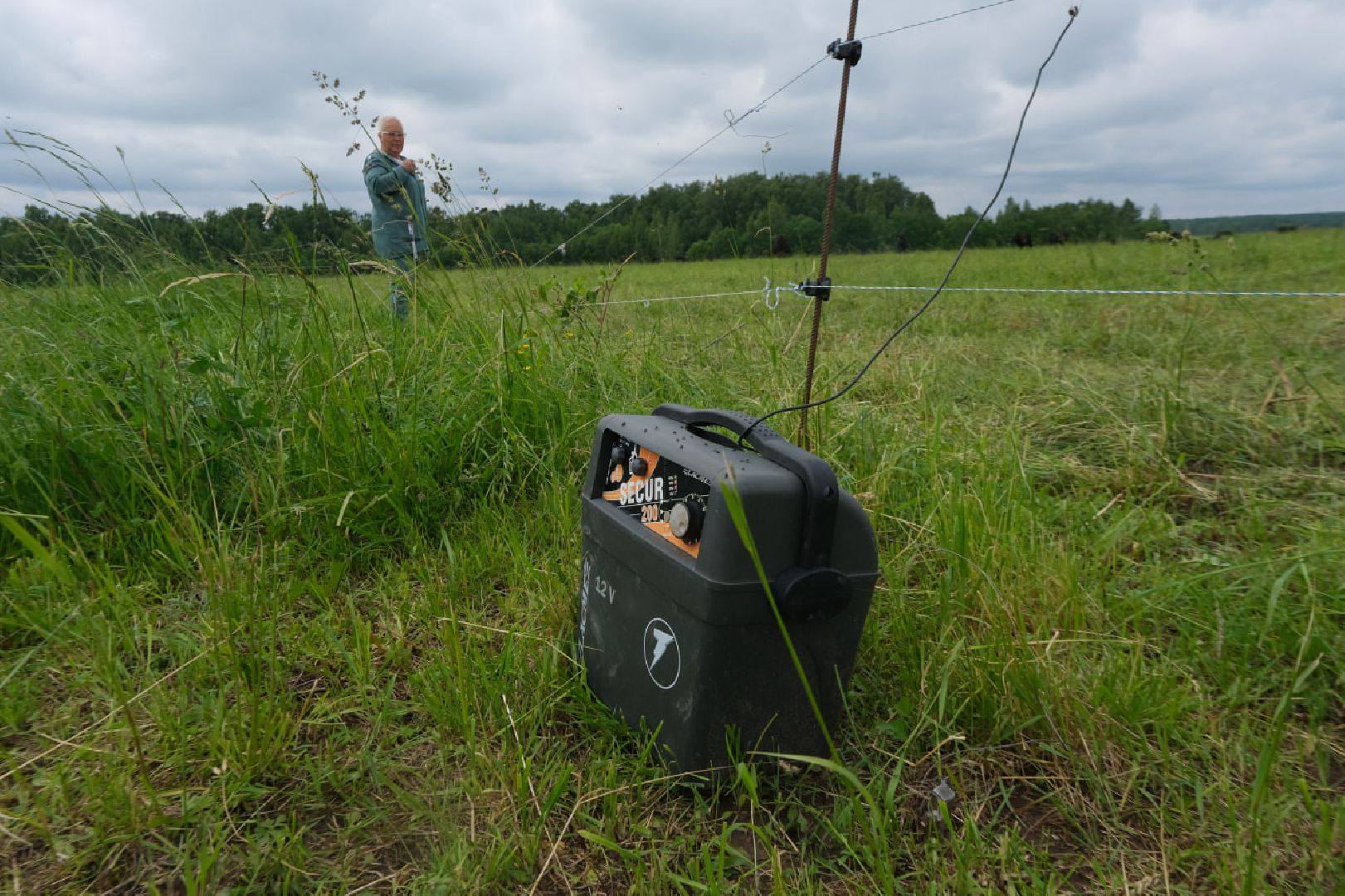 пущино, серпухов, экономика, импортозамещение,