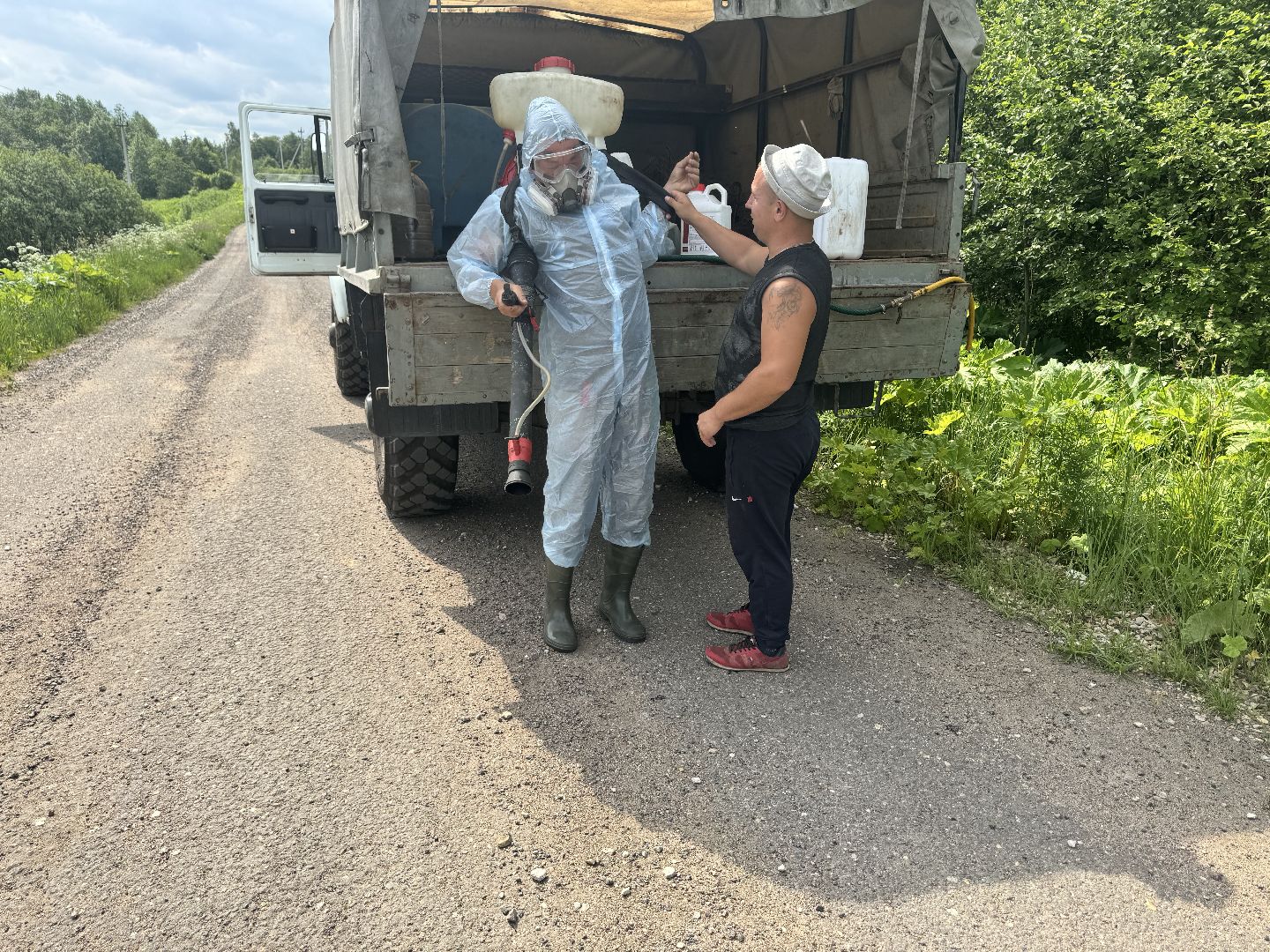 шаховская, борщевик, борщевик сосновского, борьба с борщевиком,